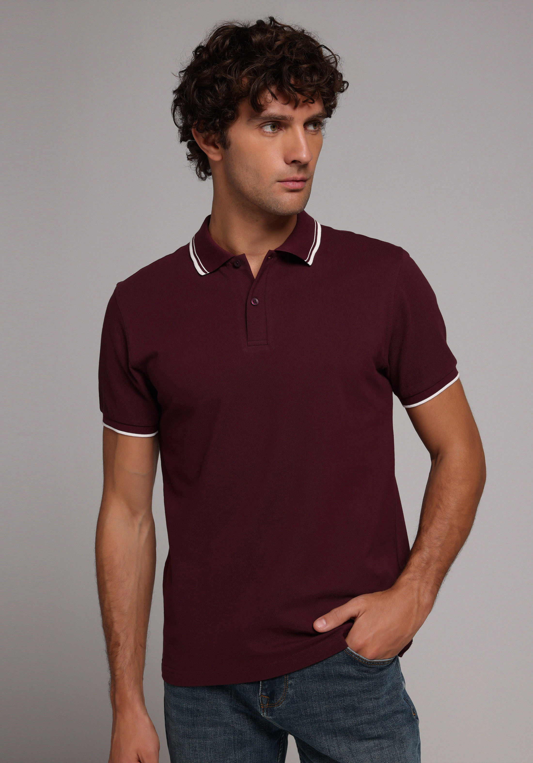 Regular Fit Polo Yaka Düz Erkek Mor Kısa Kol Tişört