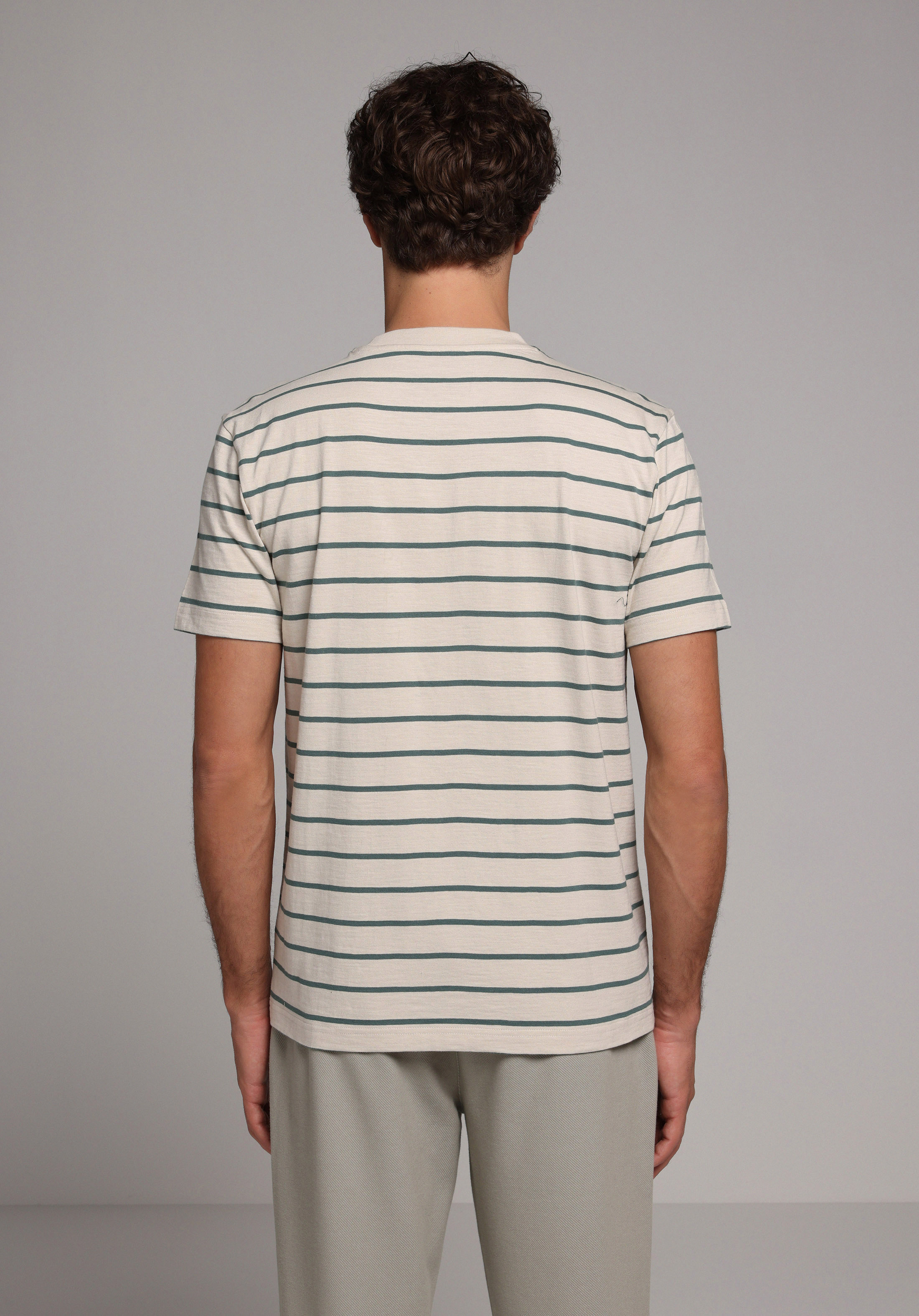 Regular Fit Yuvarlak Yaka Çizgili Erkek Bej Kısa Kol Tişört
