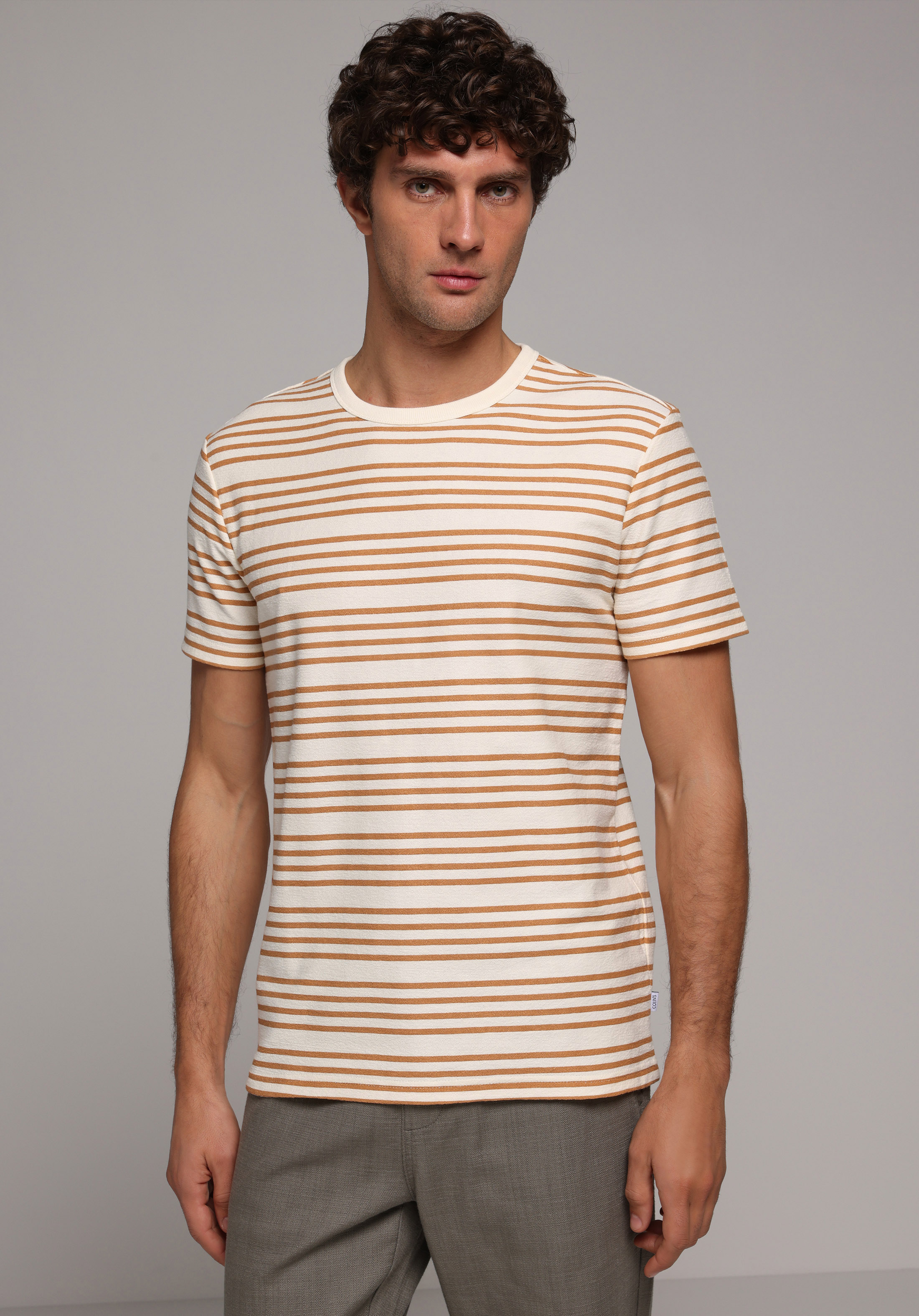Regular Fit Yuvarlak Yaka Çizgili Erkek Kahverengi Kısa Kol Tişört