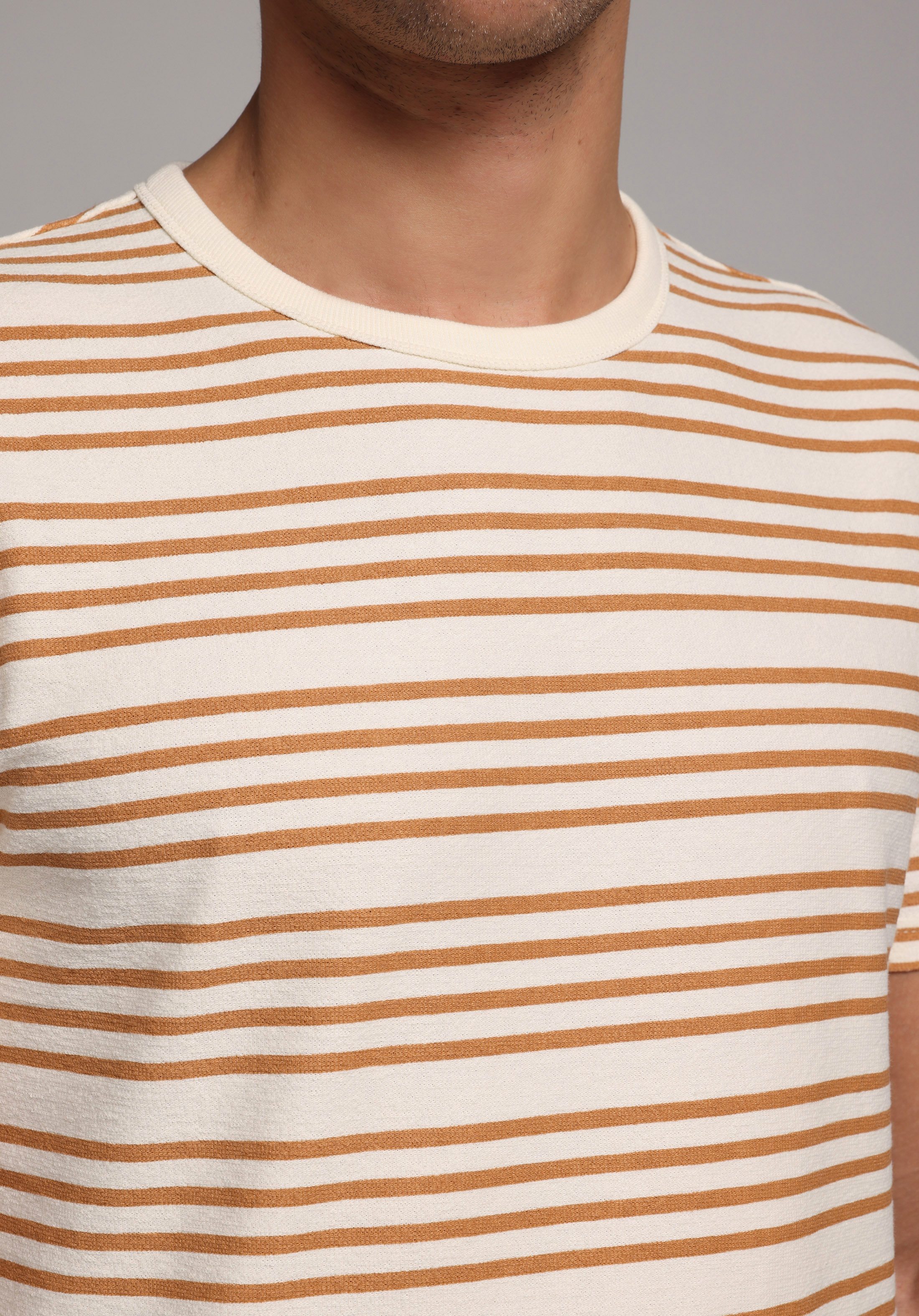 Regular Fit Yuvarlak Yaka Çizgili Erkek Kahverengi Kısa Kol Tişört