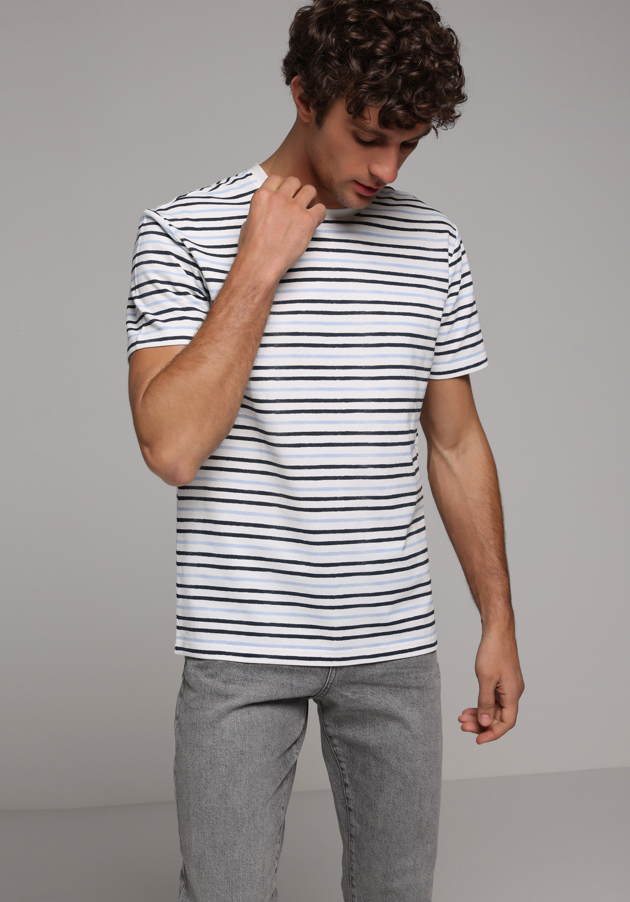 Regular Fit Yuvarlak Yaka Çizgili Erkek Mavi Kısa Kol Tişört