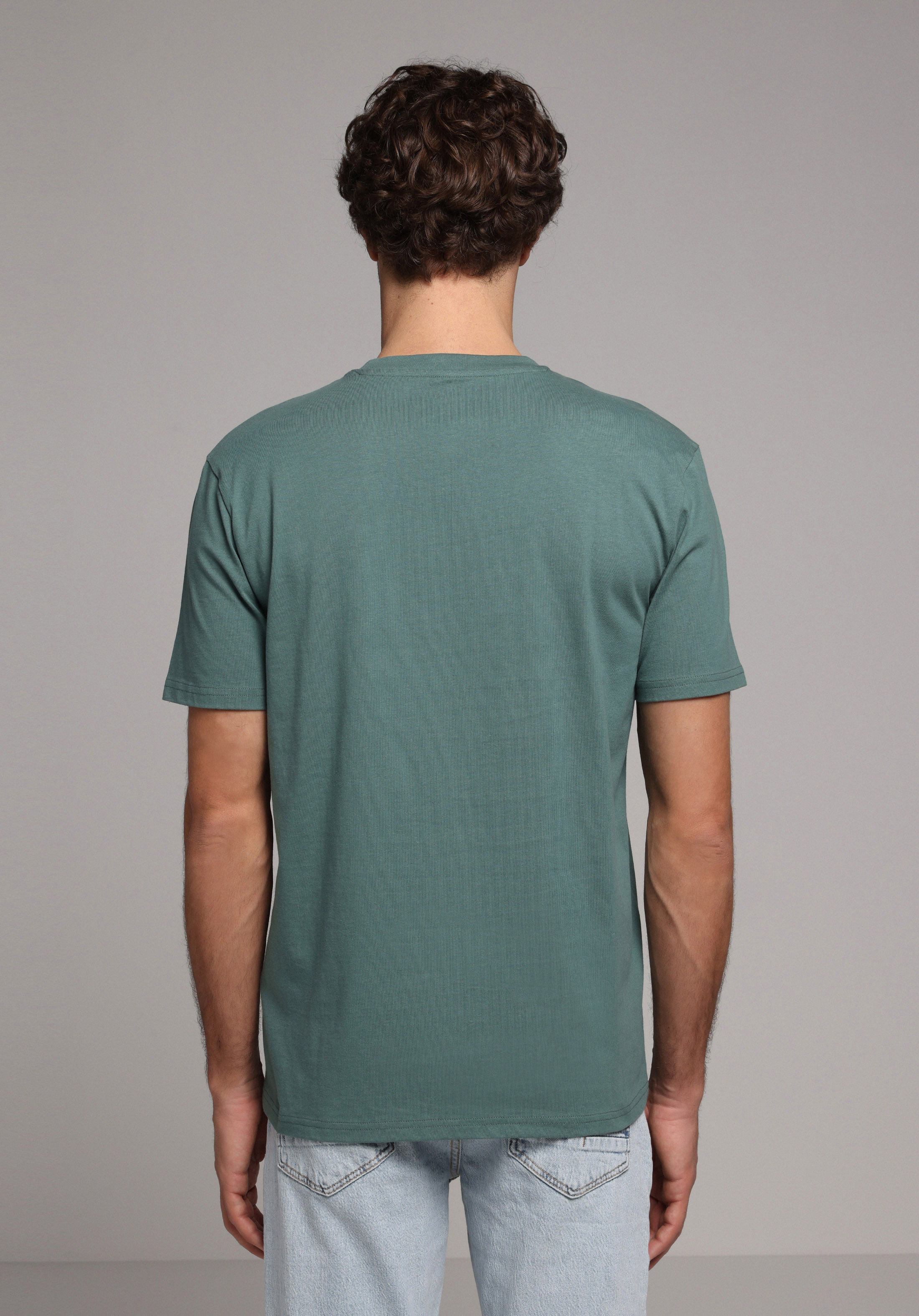 Regular Fit Yuvarlak Yaka Düz Erkek Yeşil Kısa Kol Tişört
