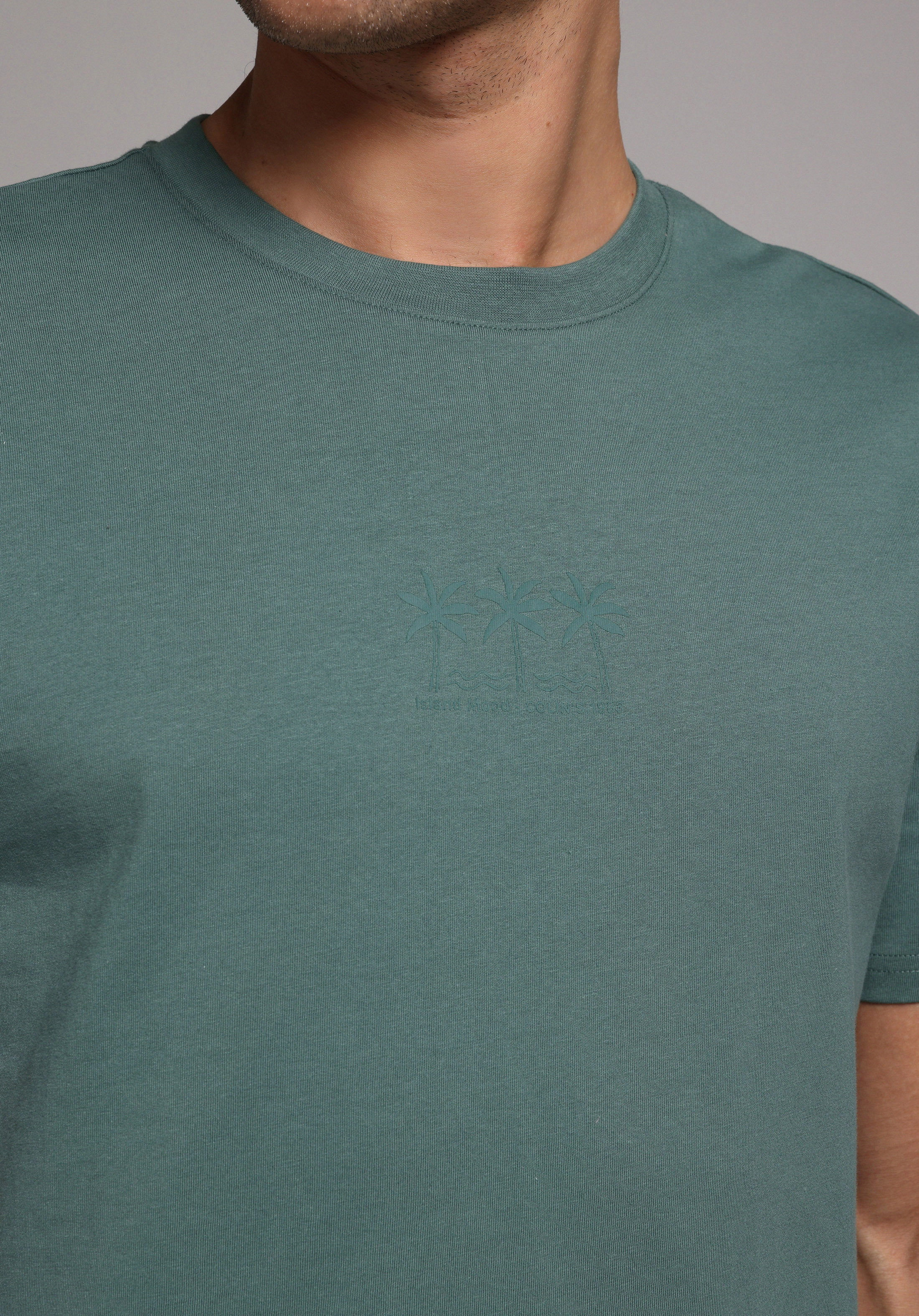 Regular Fit Yuvarlak Yaka Düz Erkek Yeşil Kısa Kol Tişört