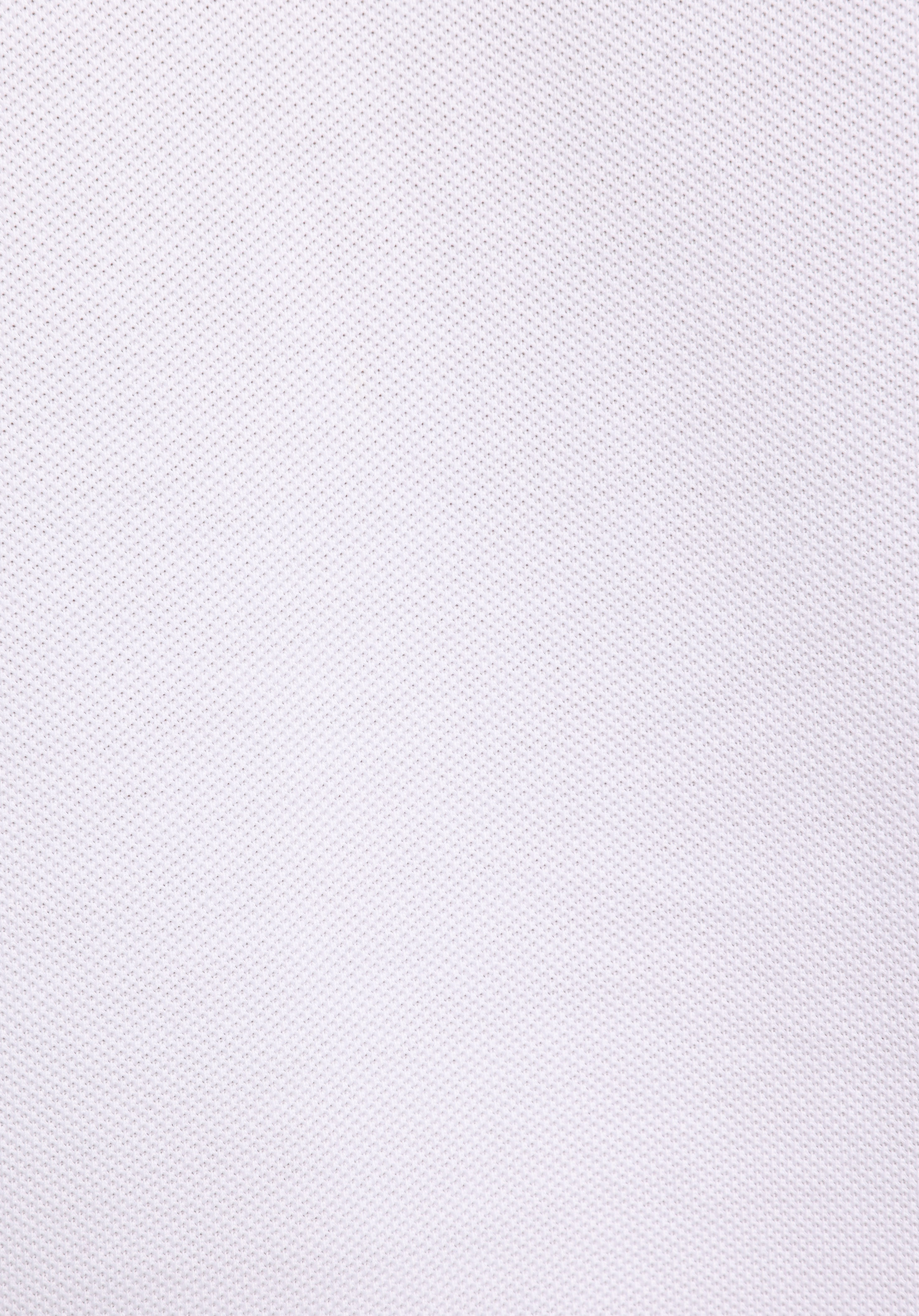 Regular Fit Polo Yaka Düz Kadın Beyaz Kısa Kol Tişört