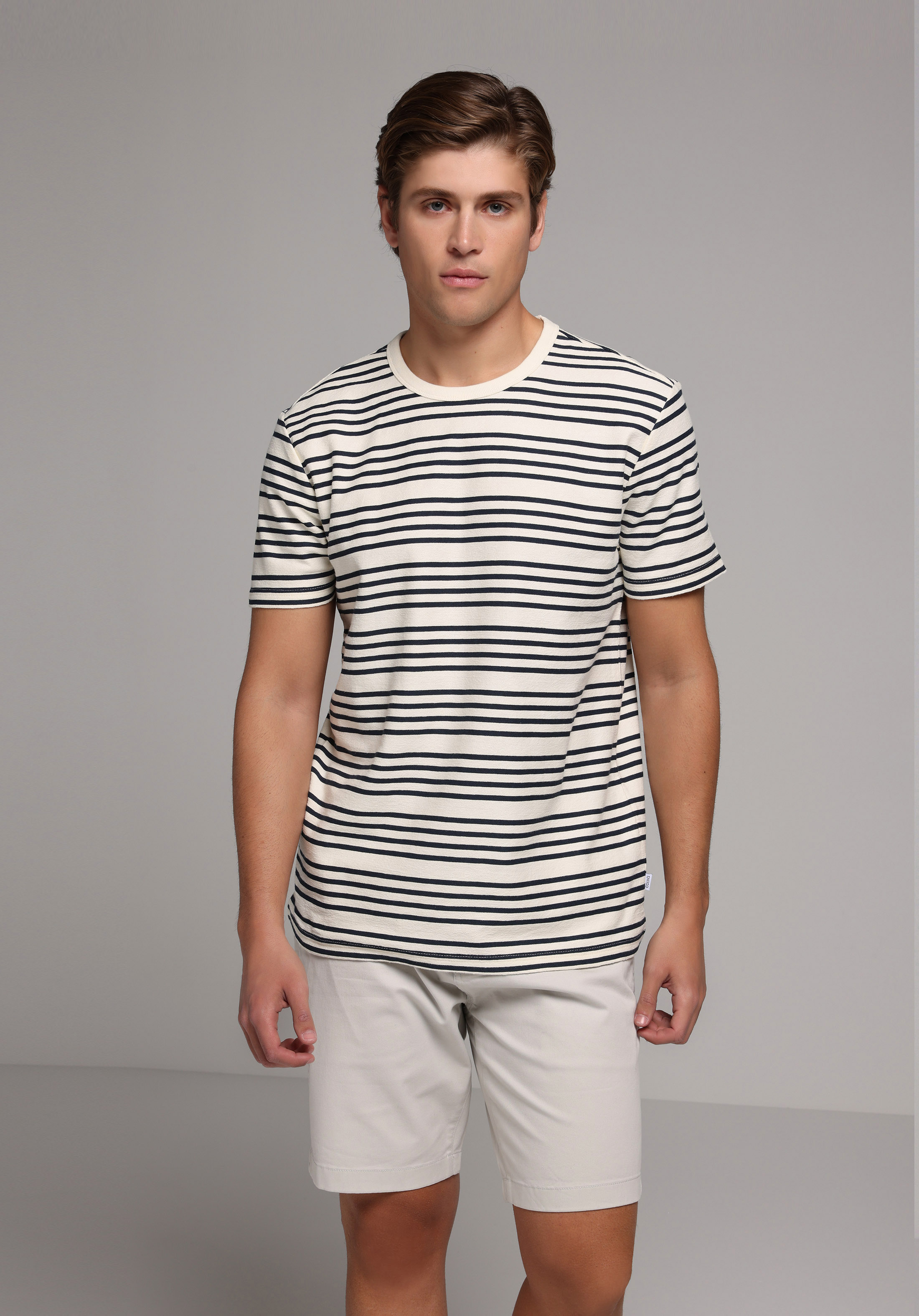 Regular Fit Yuvarlak Yaka Çizgili Erkek Lacivert Kısa Kol Tişört