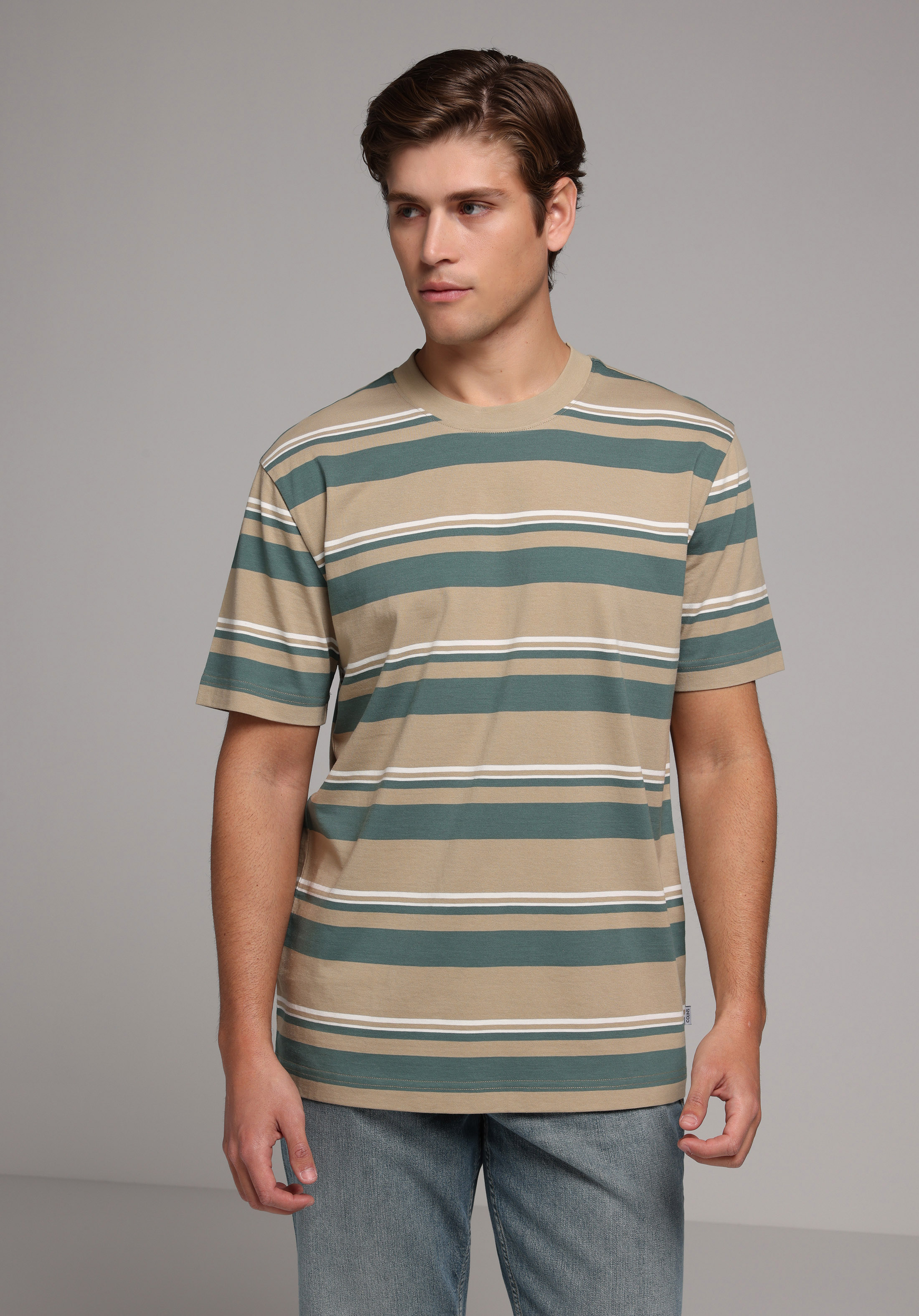 Comfort Fit Yuvarlak Yaka Çizgili Erkek Bej Kısa Kol Tişört