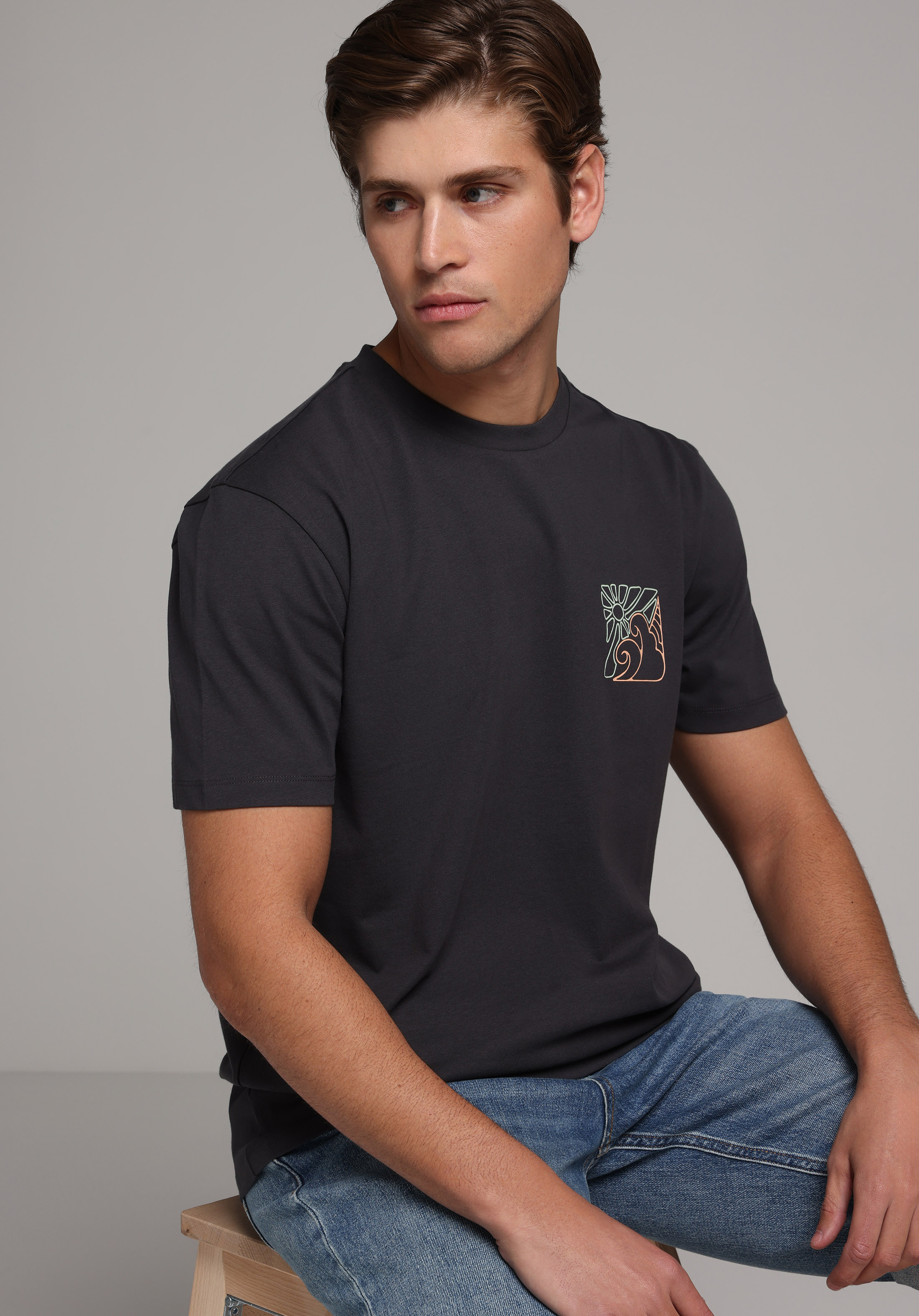 Regular Fit Yuvarlak Yaka Düz Erkek Gri Kısa Kol Tişört