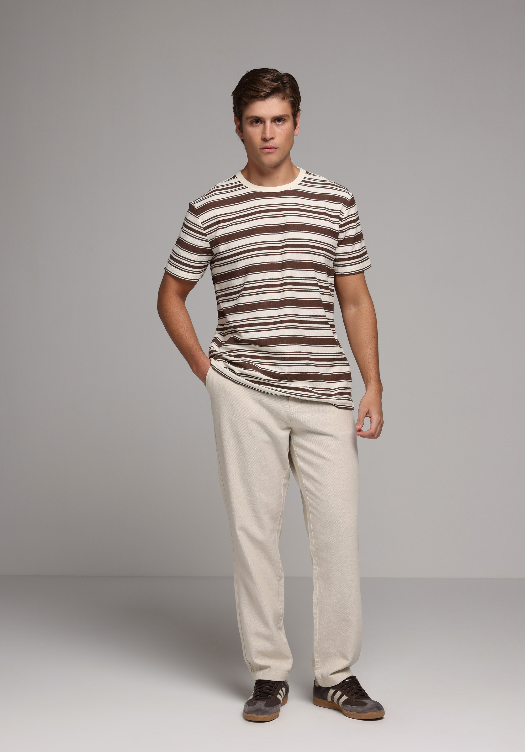 Regular Fit Yuvarlak Yaka Çizgili Erkek Kahverengi Kısa Kol Tişört