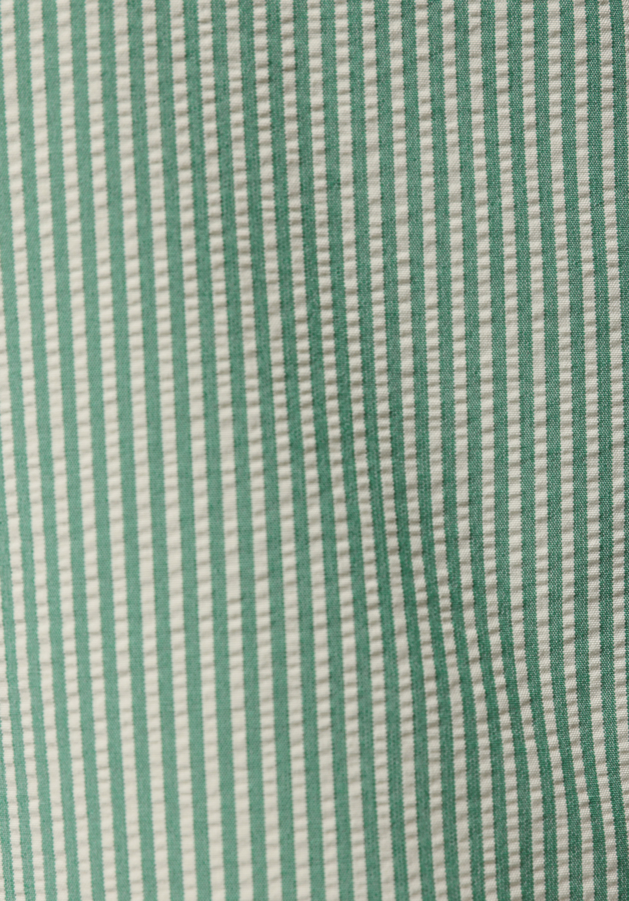 Slim Fit Çizgili Erkek Yeşil Deniz Şortu