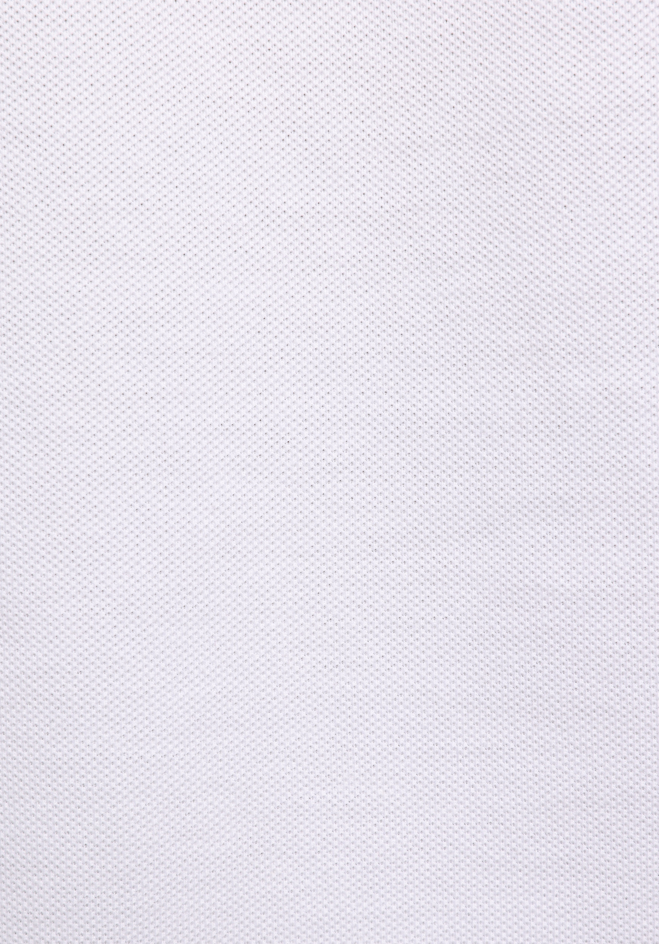 Regular Fit Polo Yaka Nakışlı Kadın Beyaz Kısa Kol Tişört