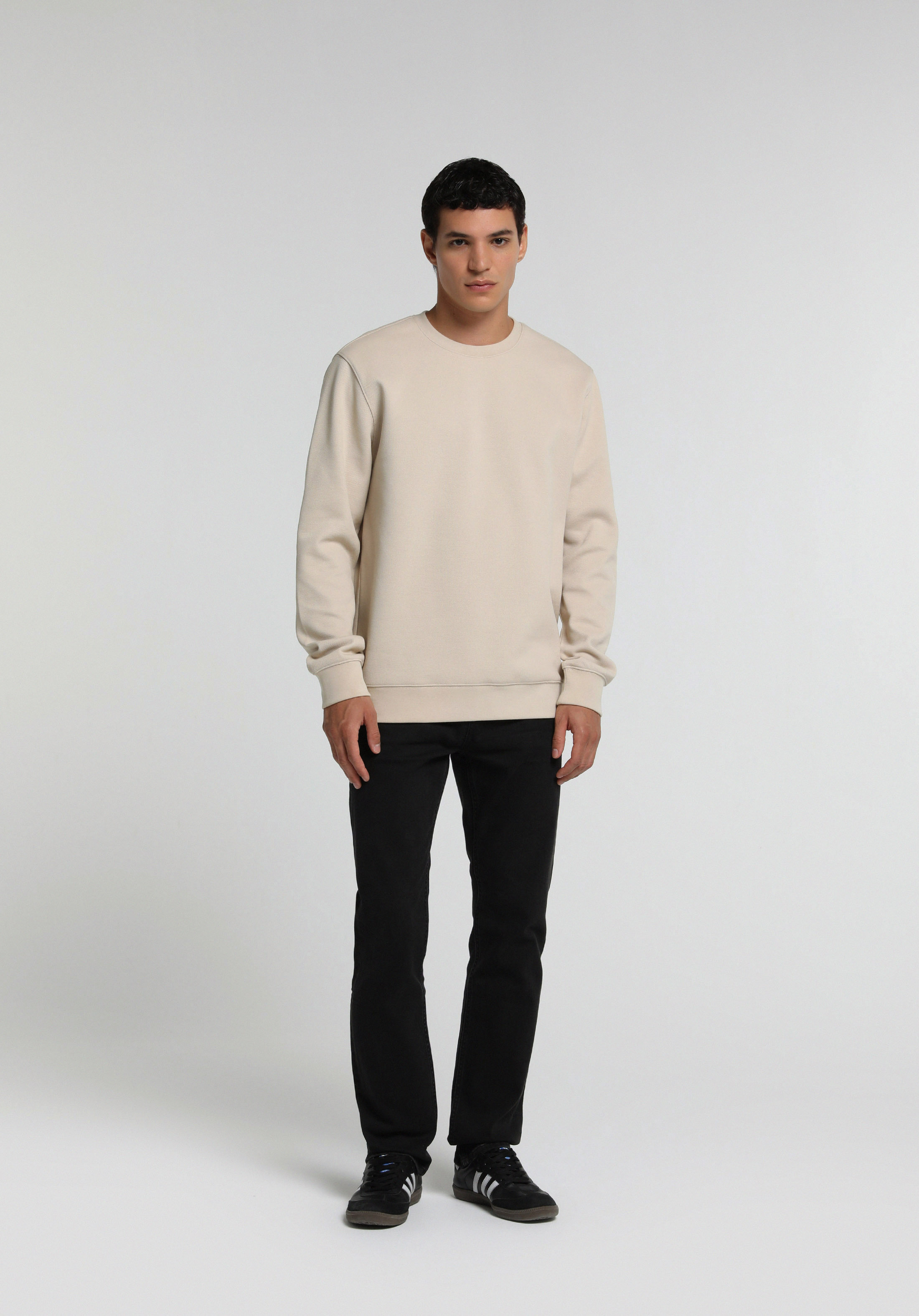 Regular Fit Yuvarlak Yaka Düz Erkek Taş Sweatshirt
