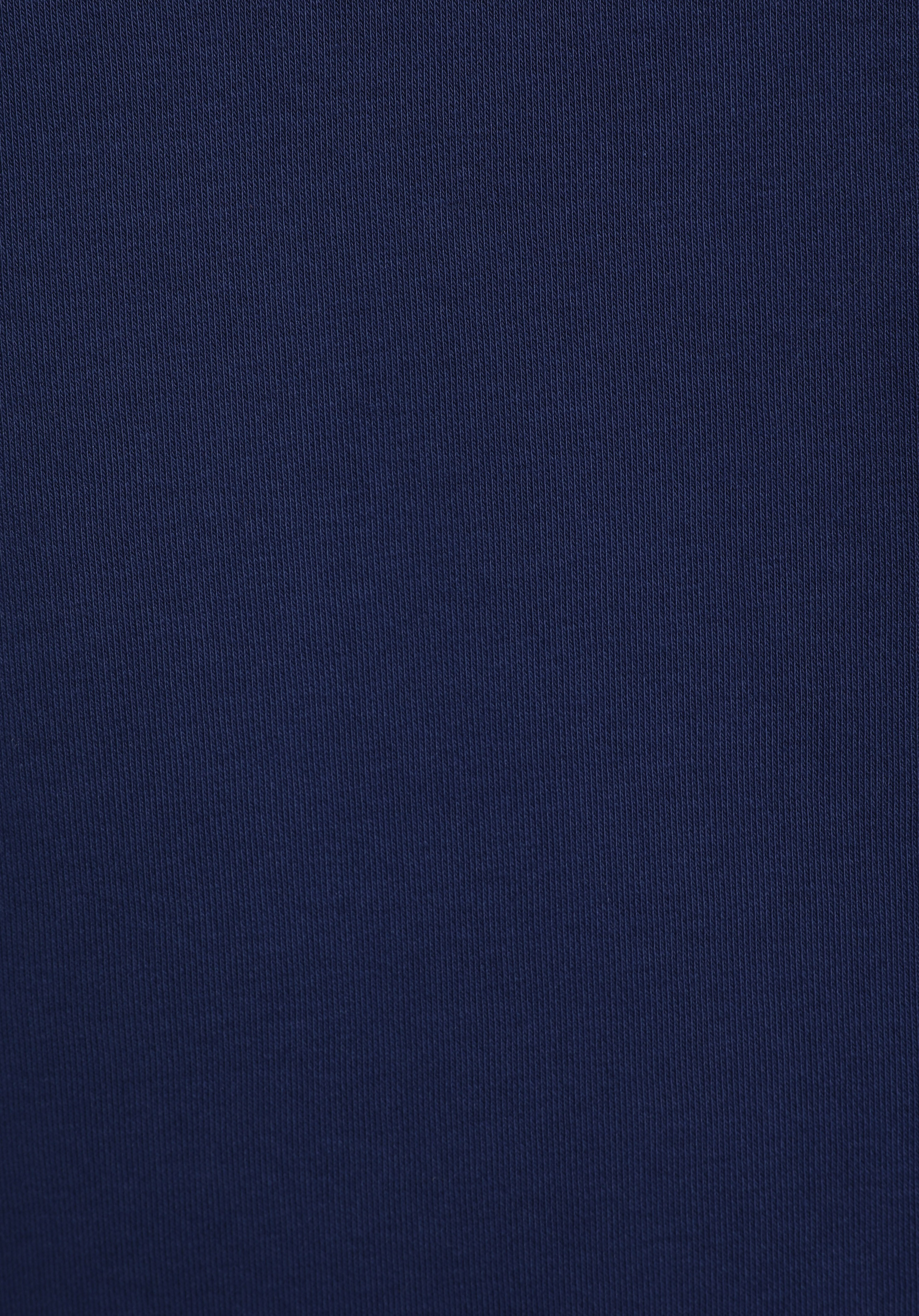 Relaxed Fit Kapüşonlu Düz Erkek Mavi Sweatshirt