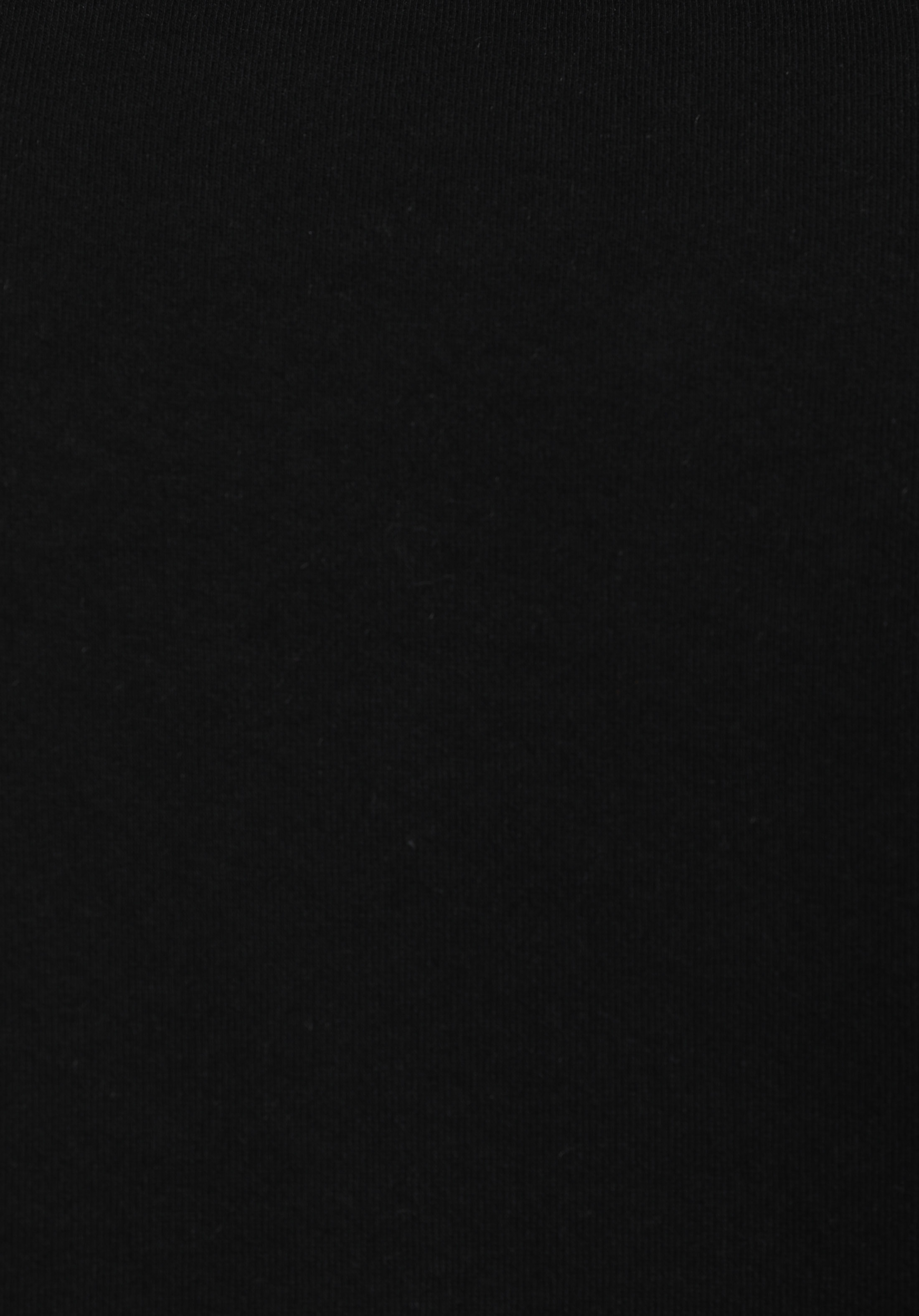Regular Fit Dik Yaka Düz Erkek Siyah Sweatshirt