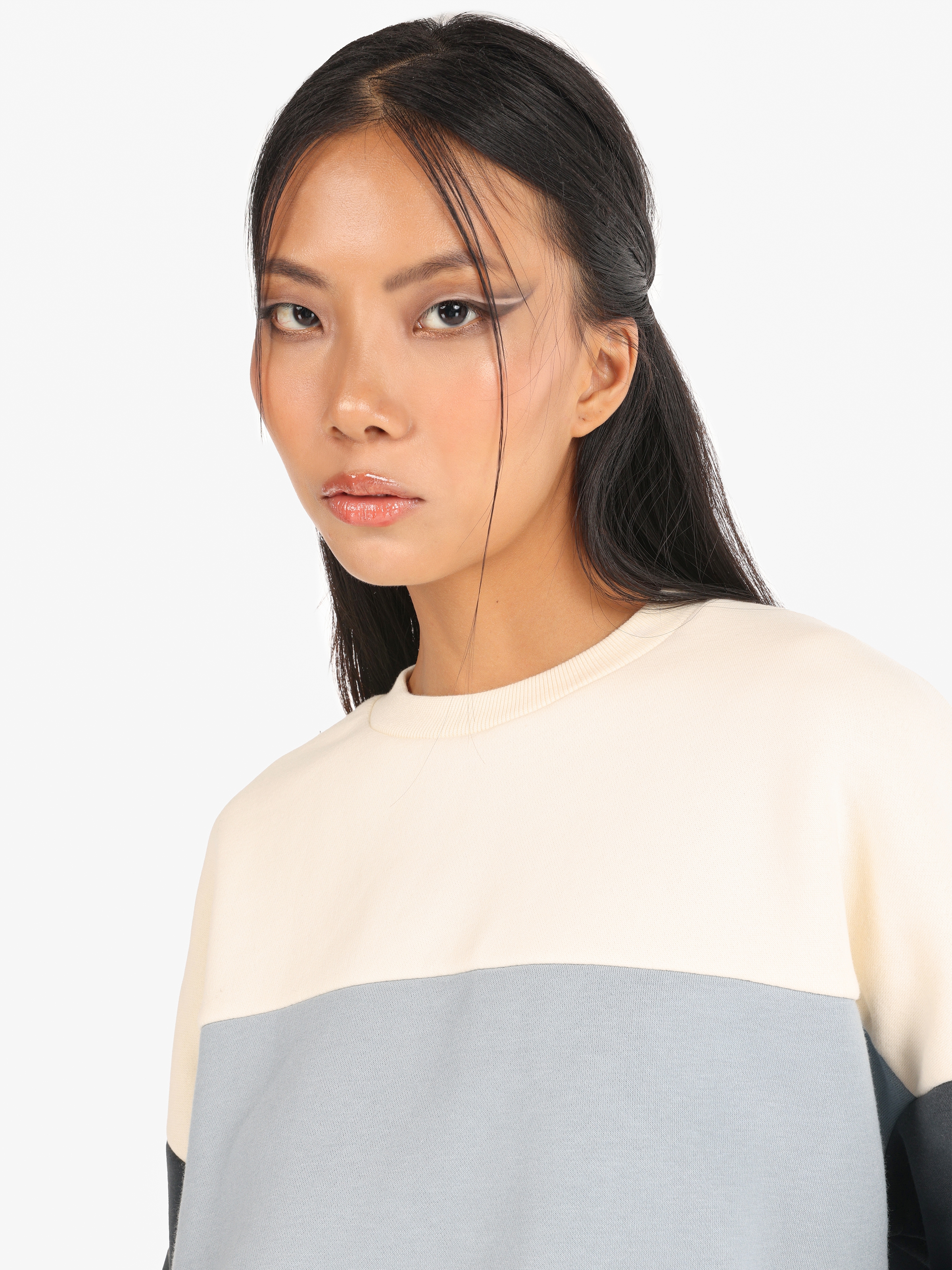 Normal Kesim Shirt Yaka Çok Renkli Kadın Sweatshirt Cl1065623