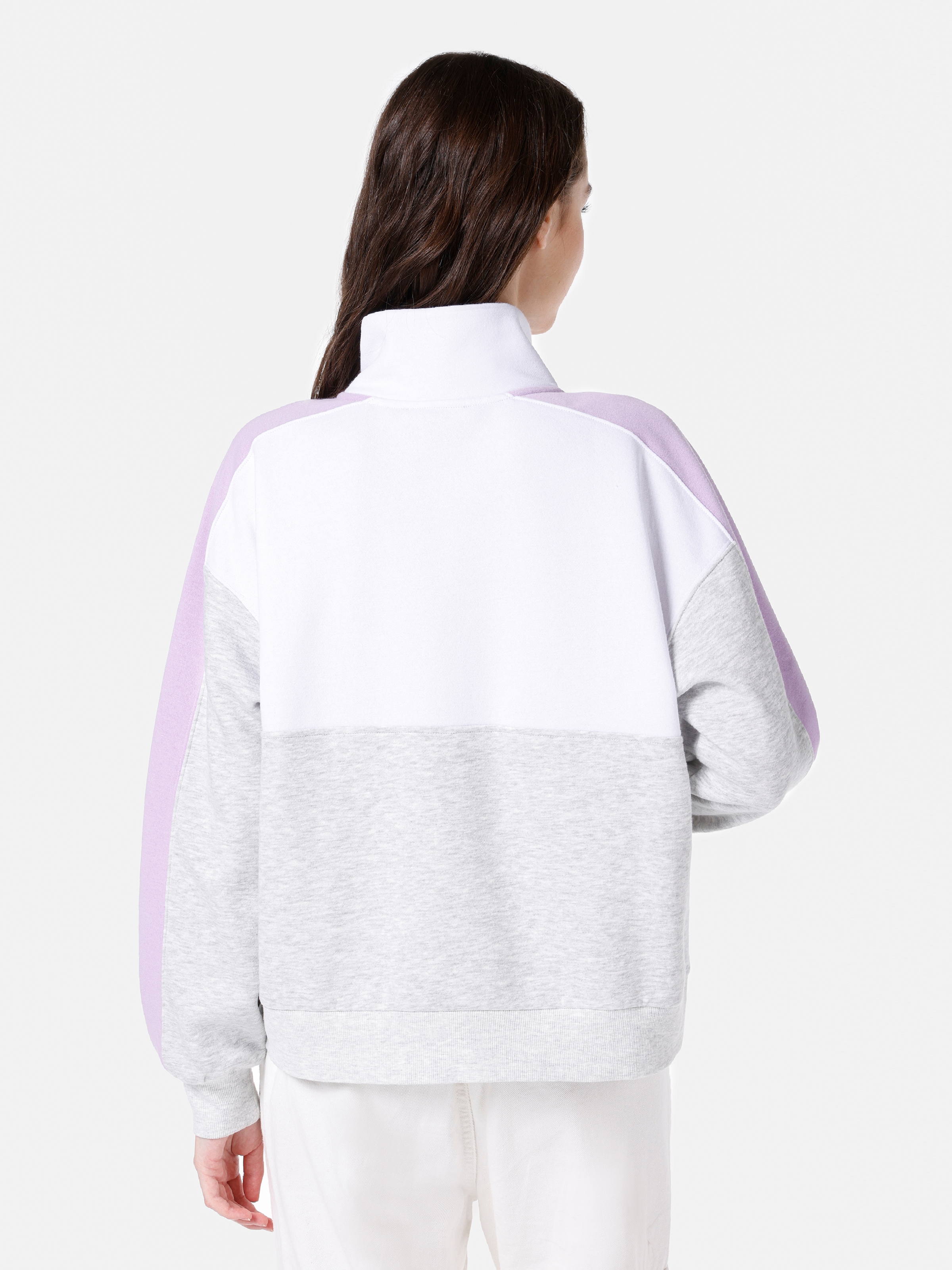 Regular Fit Çok Renkli Kadın Sweatshirt Cl1067253
