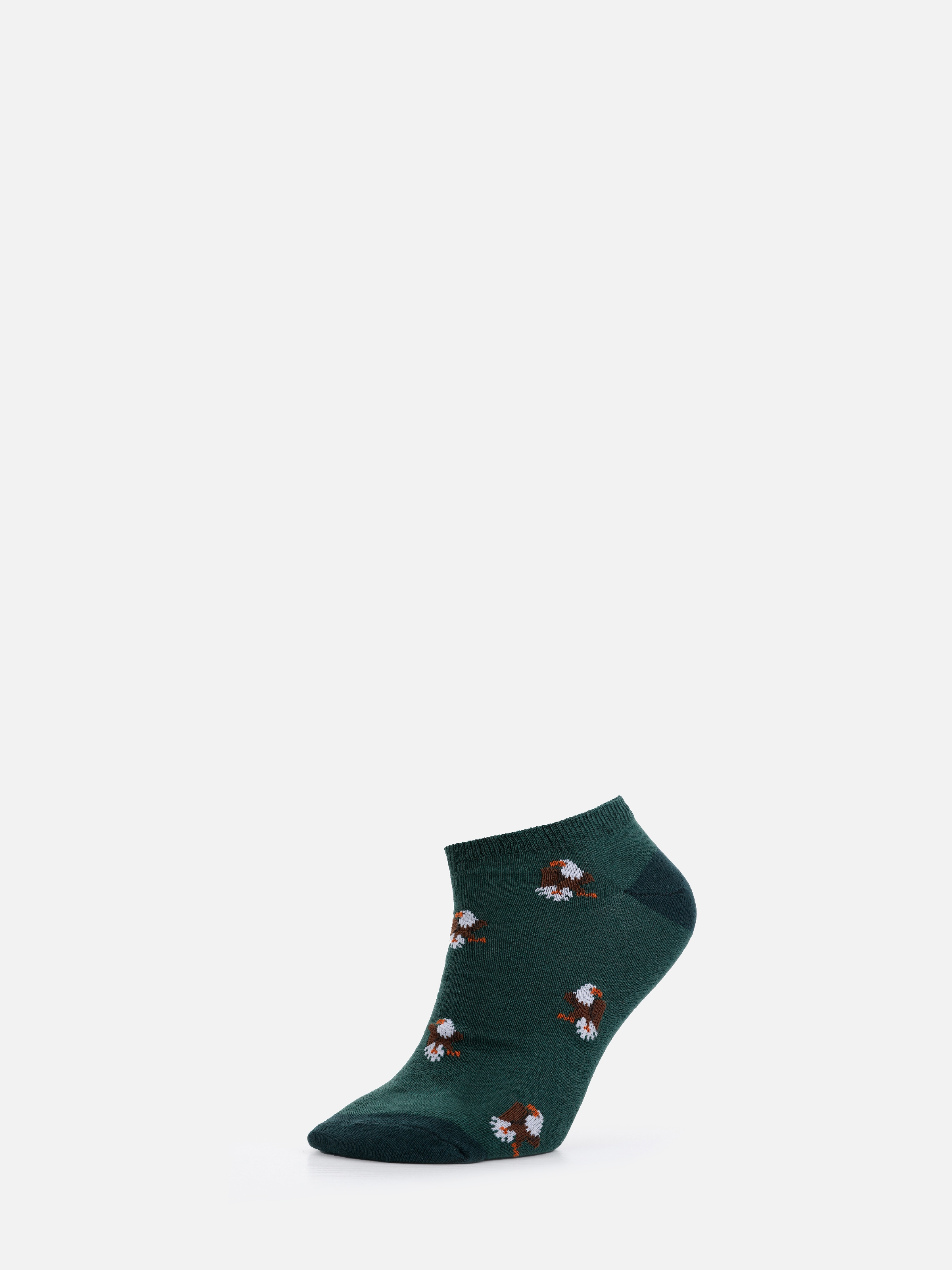 Baskılı Yeşil Erkek Çorap Cl1068377
