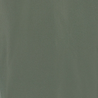 Normal Kesim Kapüşonlu Yeşil Kadın Mont Cl1067112