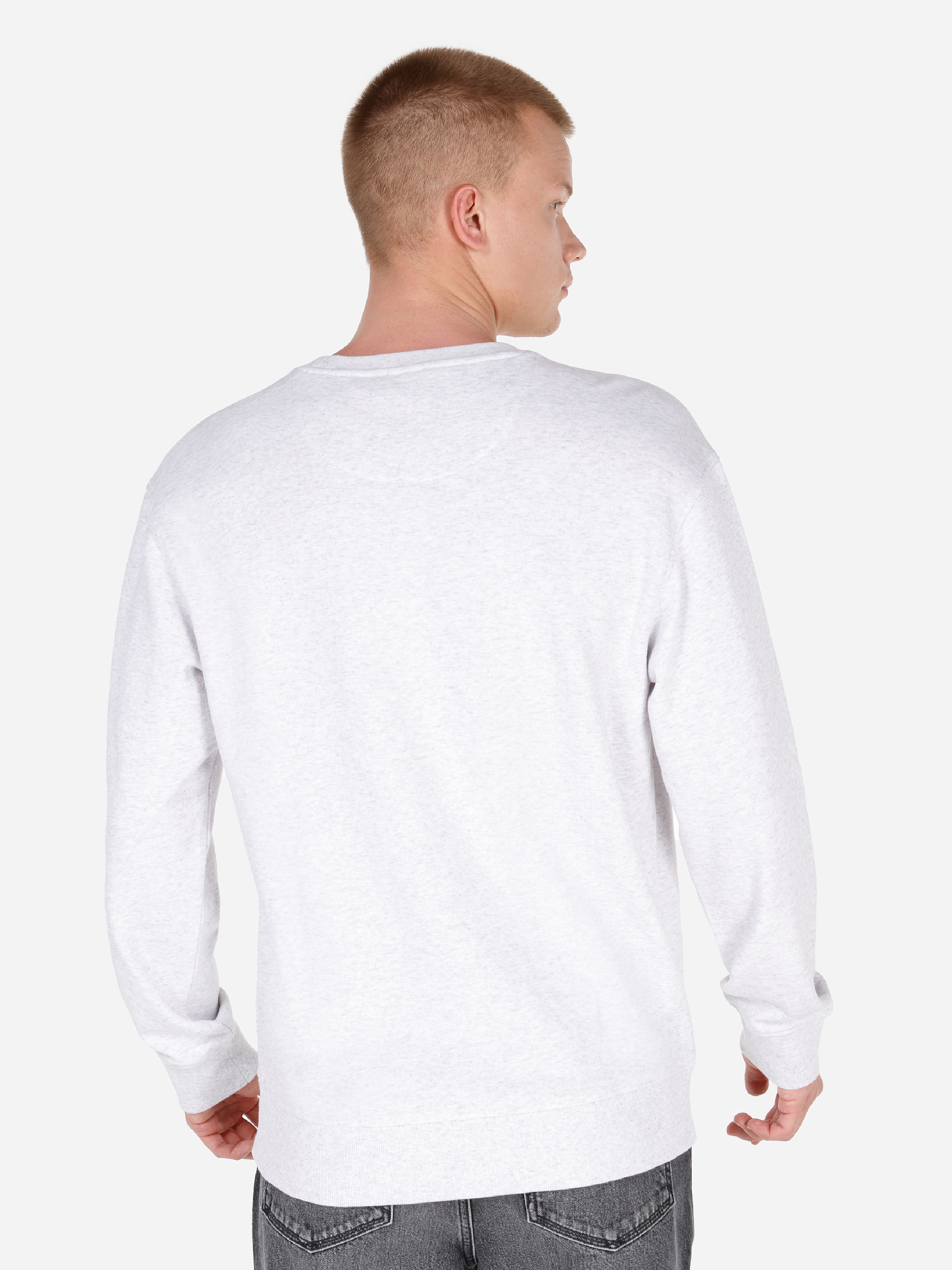 Normal Kesim Bisiklet Yaka Baskılı Gri Erkek Sweatshirt Cl1070654