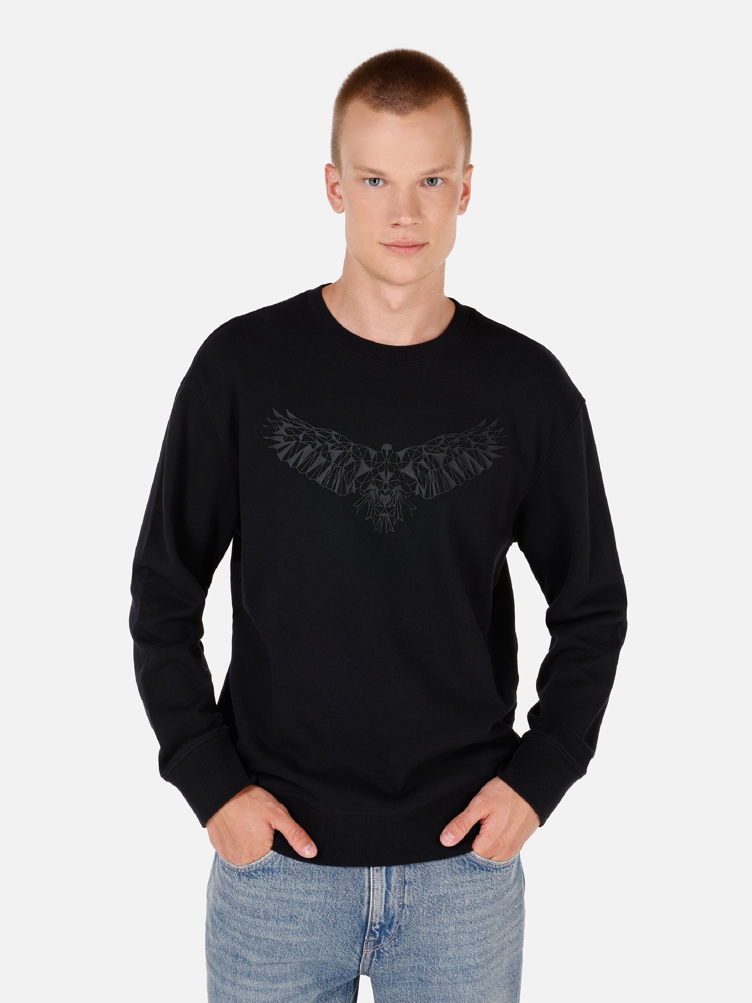 Normal Kesim Bisiklet Yaka Baskılı Siyah Erkek Sweatshirt Cl1070653