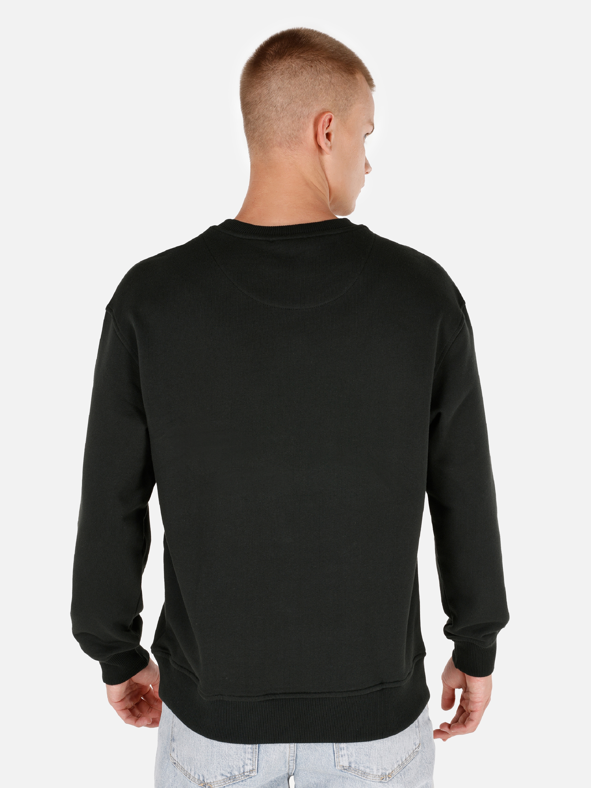 Normal Kesim Baskılı Yeşil Erkek Sweatshirt Cl1070641