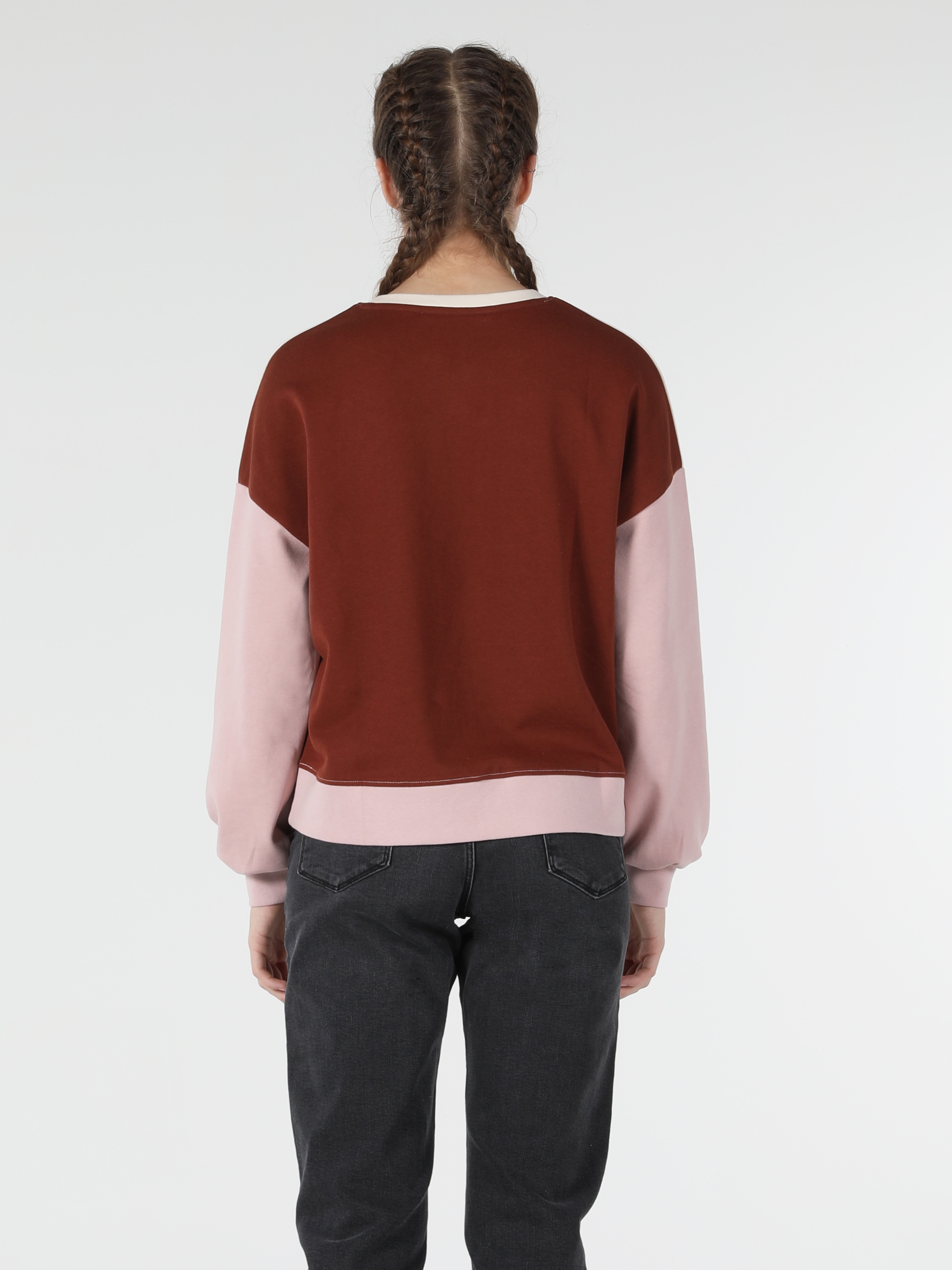 Regular Fit Çok Renkli Kadın Sweatshirt Cl1058174