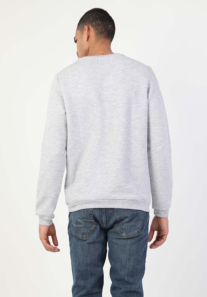 Regular Fit Erkek Gri Sweatshirt