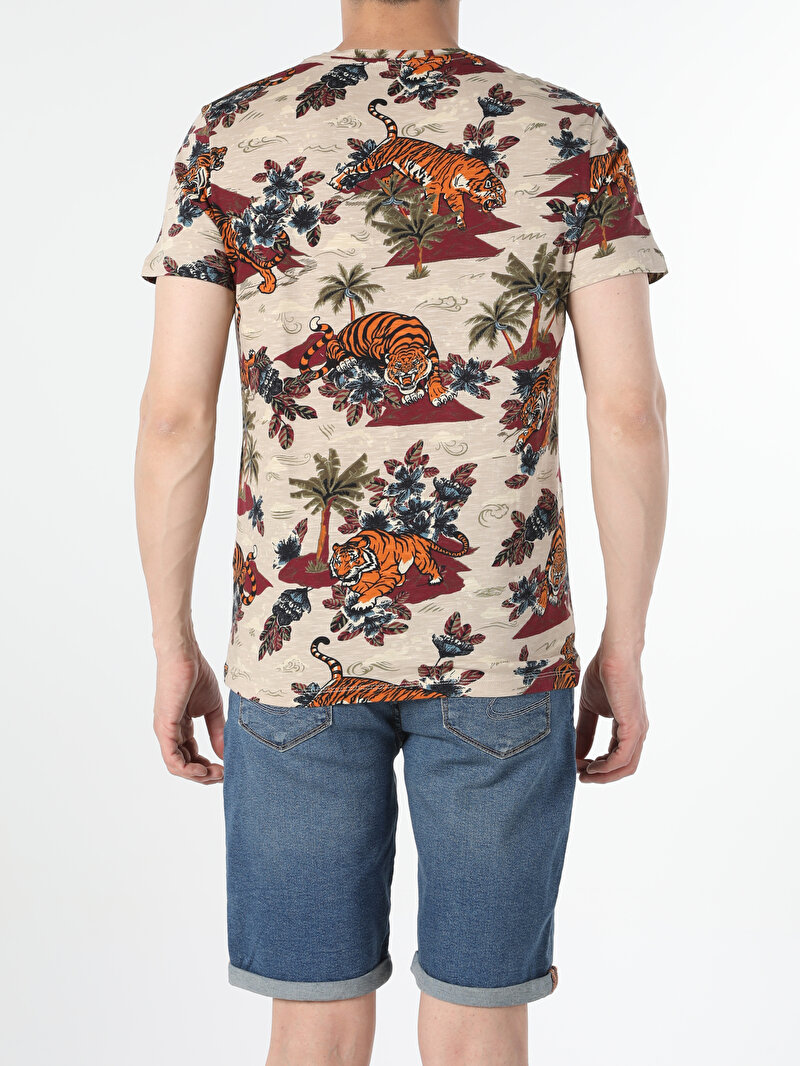 Regular Fit Bisiklet Yaka Örme Erkek Bej Kısa Kol Tişört Cl1054469