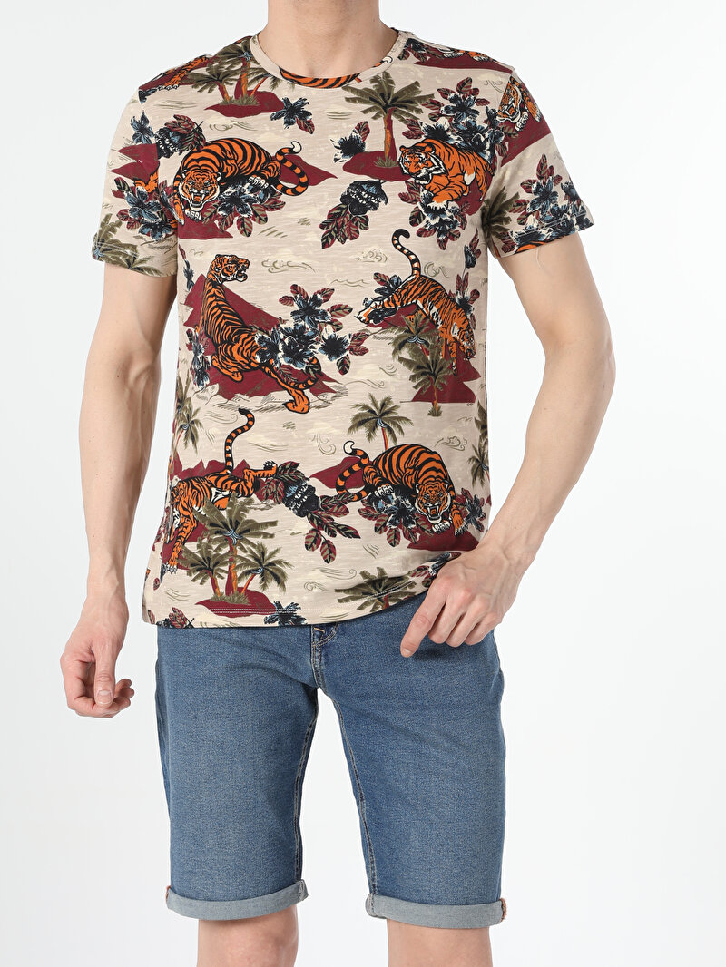 Regular Fit Bisiklet Yaka Örme Erkek Bej Kısa Kol Tişört Cl1054469