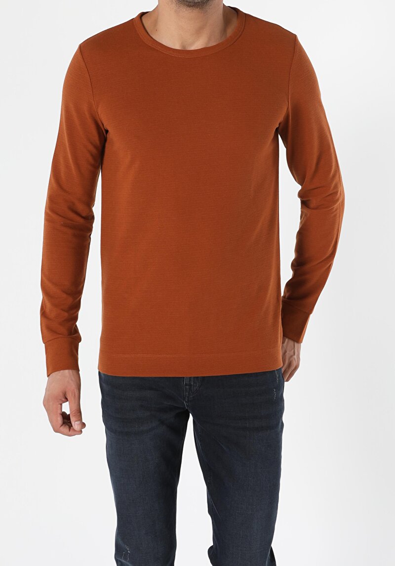 Regular Fit Erkek Kahverengi Tişört