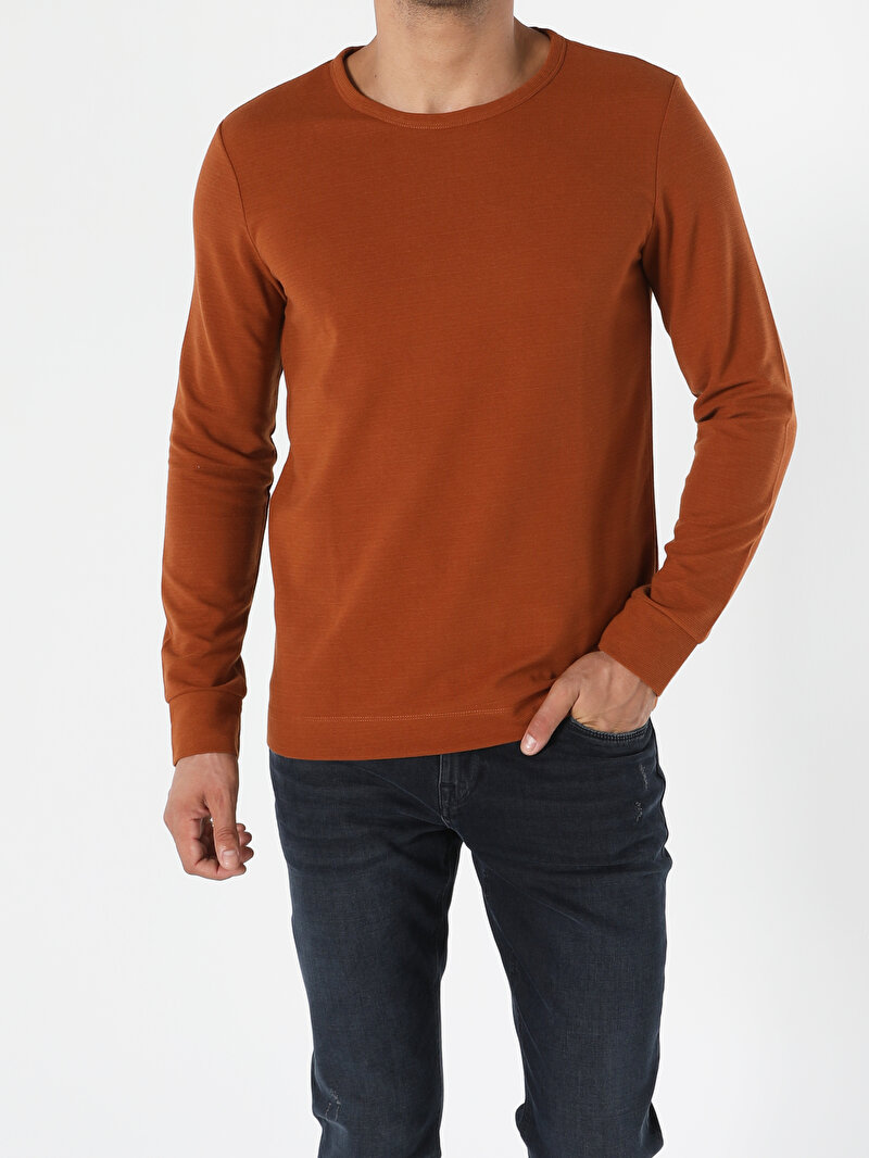 Regular Fit Erkek Kahverengi Tişört