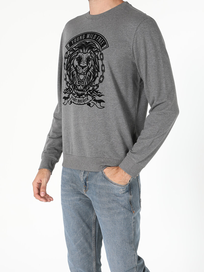 Regular Fit Erkek Antrasit Sweatshirt