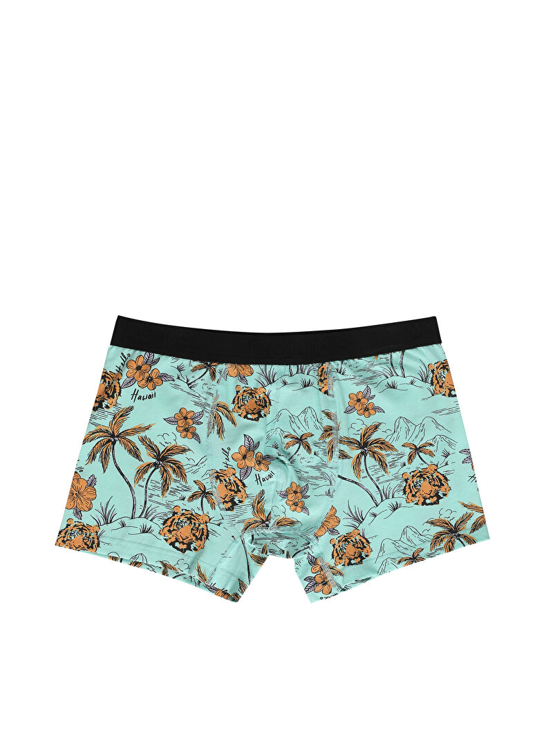 Modern Fit  Erkek Çok Renkli Boxer