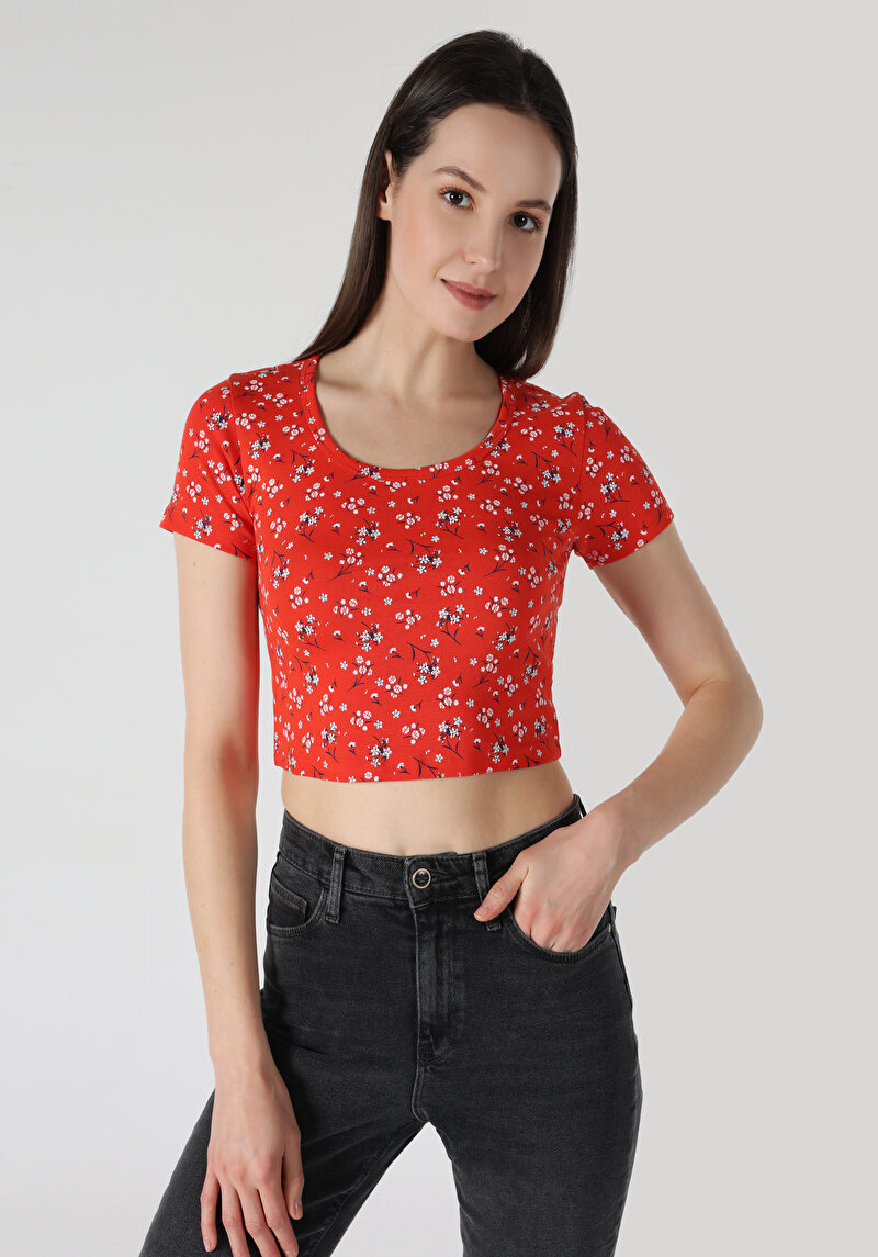 Slim Fit Yuvarlak Yaka Çiçekli Kadın Kirmizi Kısa Kol Tişört