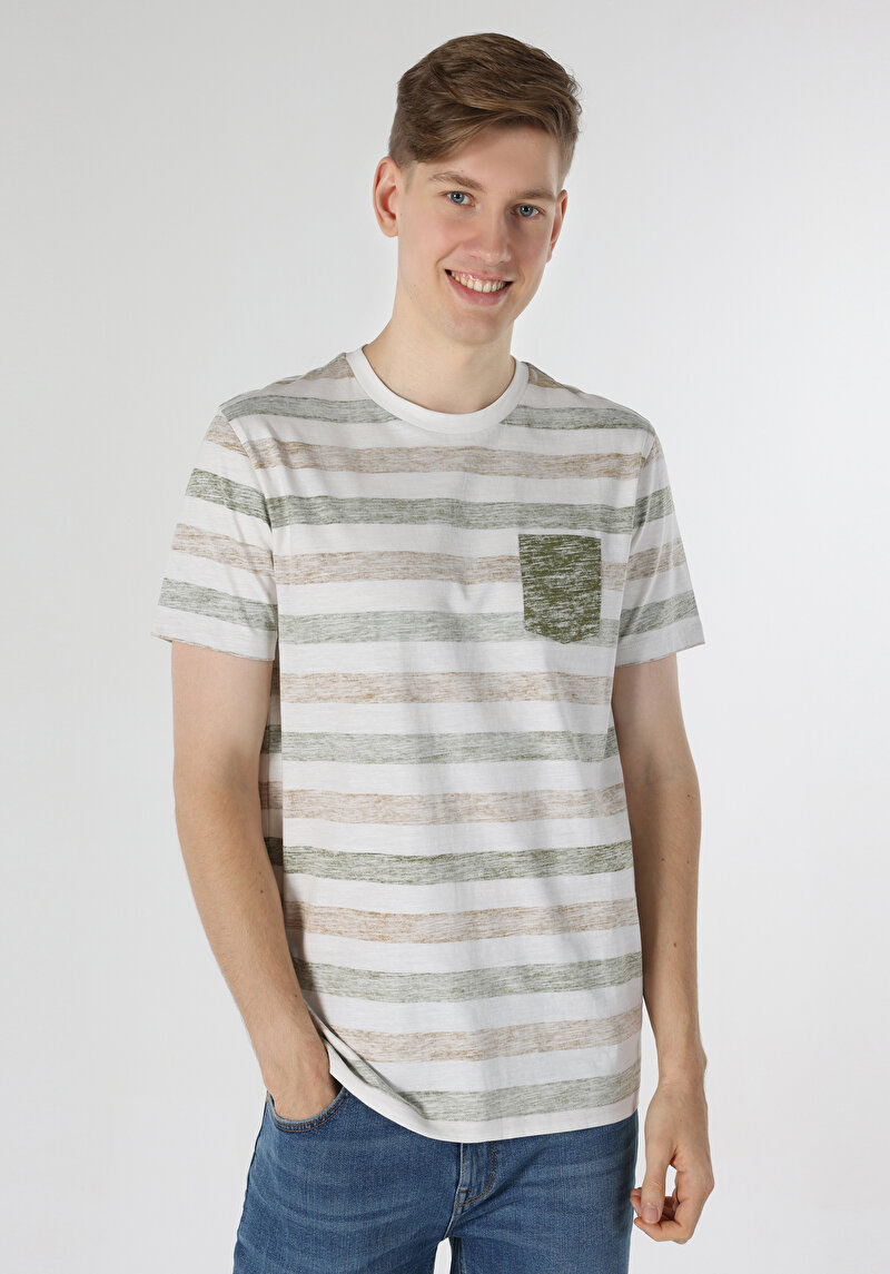 Regular Fit Yuvarlak Yaka Çizgili Erkek Yeşil Kısa Kol Tişört