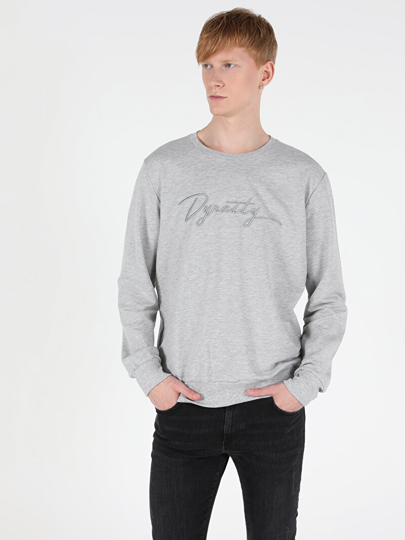 Regular Fit Erkek Gri Sweatshirt