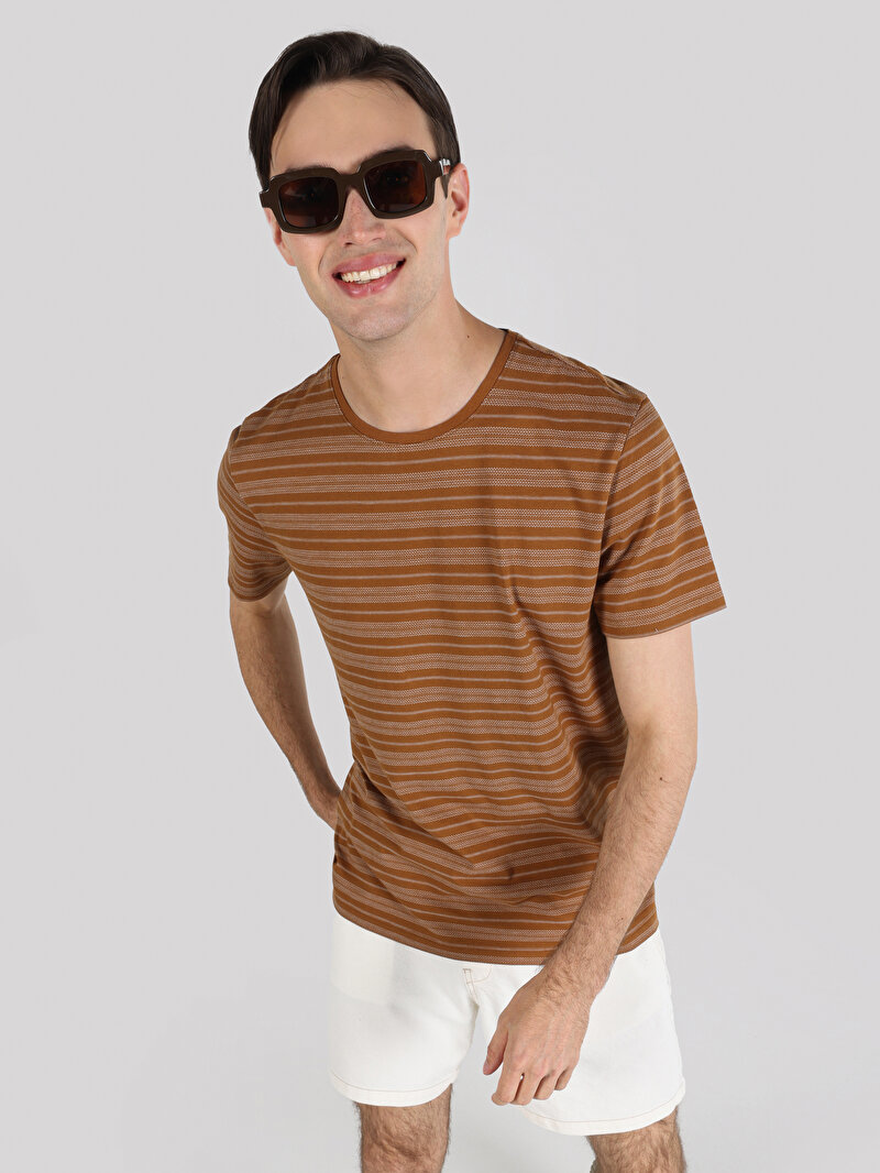 Regular Fit Yuvarlak Yaka Çizgili Erkek Kahverengi Kısa Kol Tişört