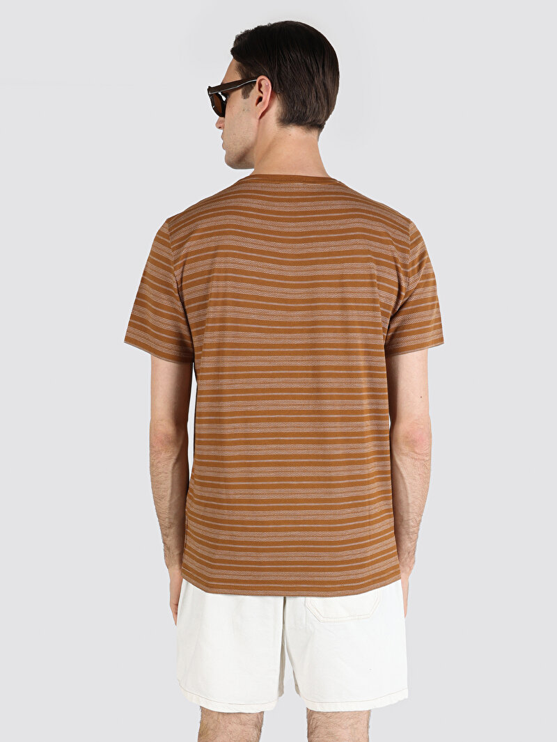 Regular Fit Yuvarlak Yaka Çizgili Erkek Kahverengi Kısa Kol Tişört