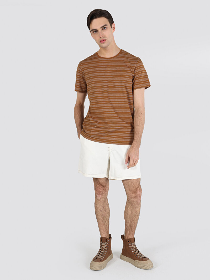Regular Fit Yuvarlak Yaka Çizgili Erkek Kahverengi Kısa Kol Tişört