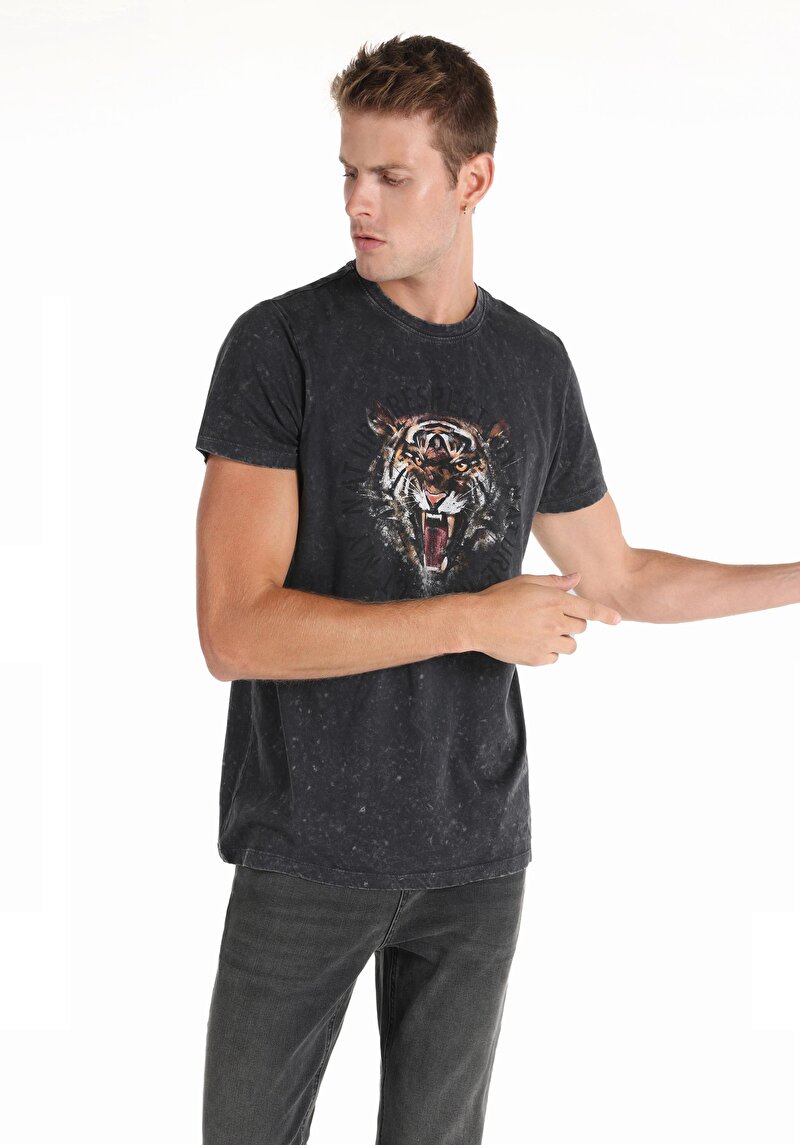 Regular Fit Yuvarlak Yaka Erkek Antrasit Kısa Kol Tişört