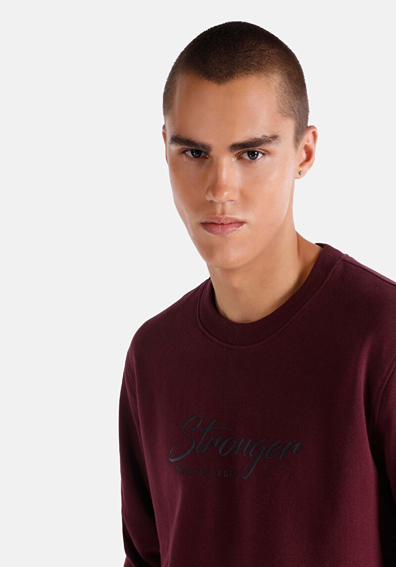Regular Fit   Erkek Bordo Sweatshirt