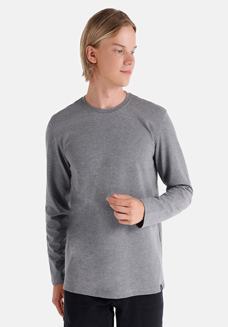 Regular Fit Yuvarlak Yaka Jakarlı Erkek Gri Uzun Kol Tişört