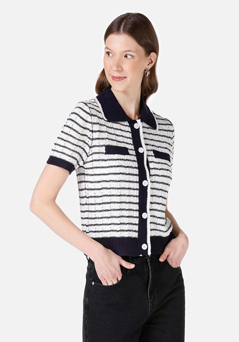 Regular Fit Polo Yaka Kadın Lacivert Kısa Kol Akrilik Kazak