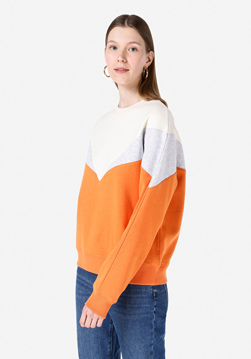 Regular Fit   Kadın Çok Renkli Sweatshirt Cl1067299