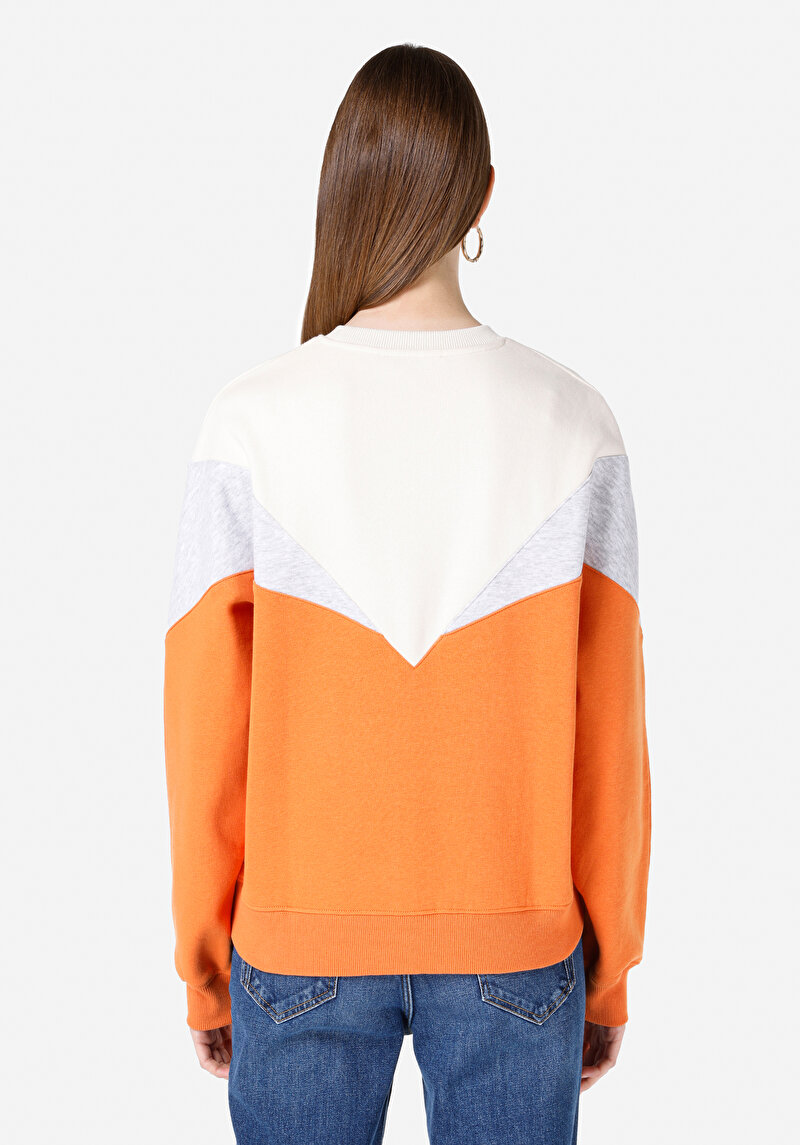 Regular Fit   Kadın Çok Renkli Sweatshirt Cl1067299