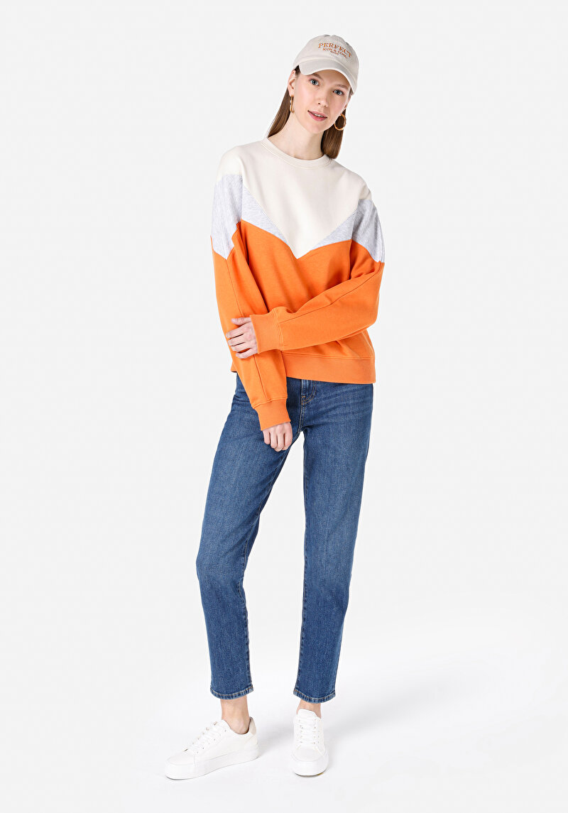 Regular Fit   Kadın Çok Renkli Sweatshirt Cl1067299
