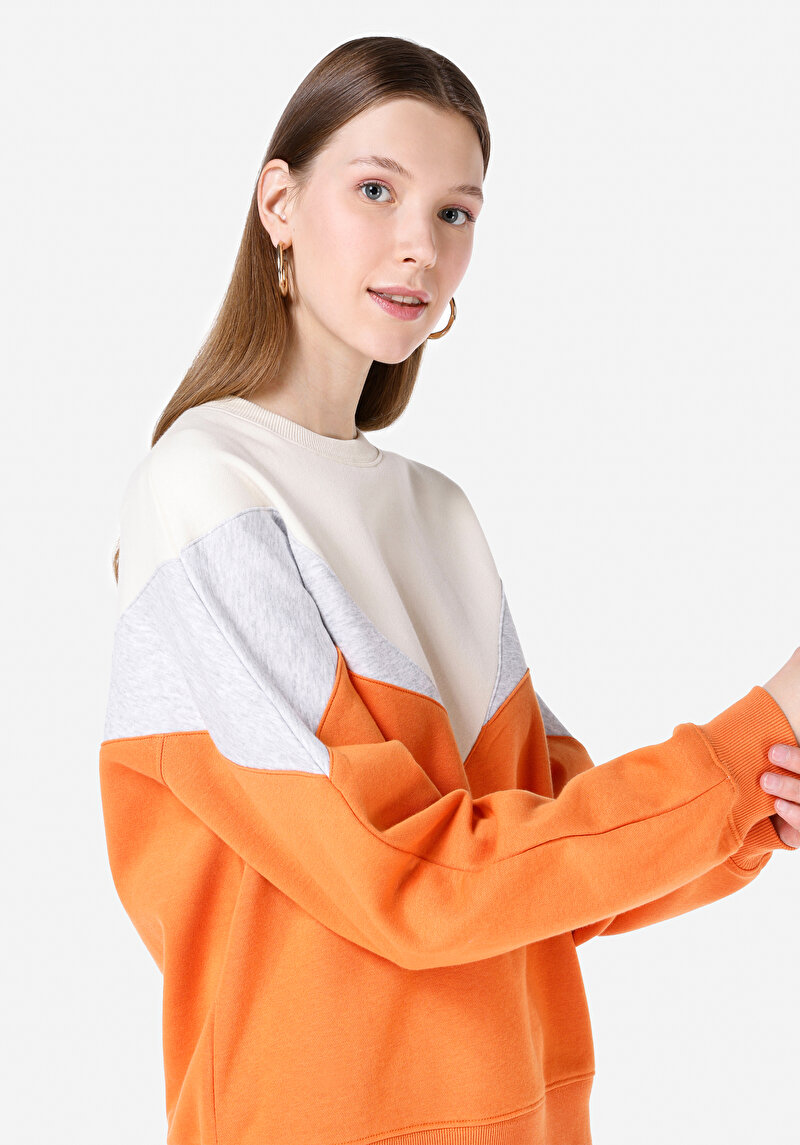 Regular Fit   Kadın Çok Renkli Sweatshirt Cl1067299