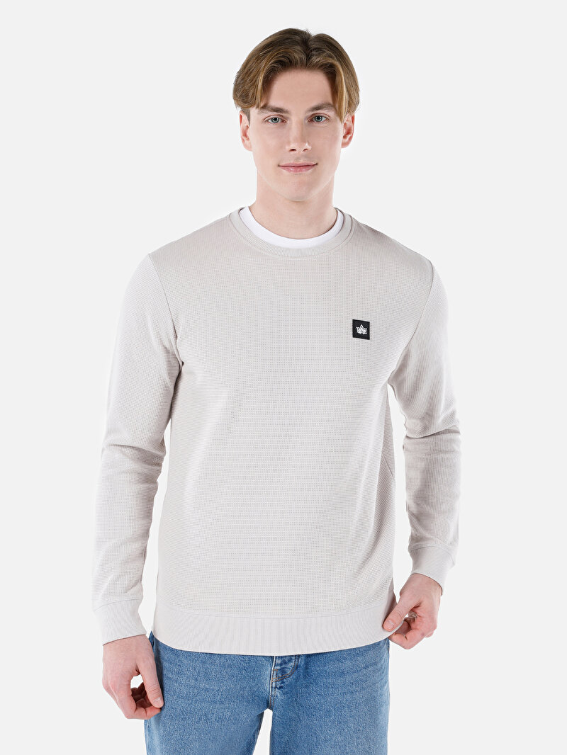 Regular Fit Yuvarlak Yaka Erkek Taş Uzun Kol Tişört