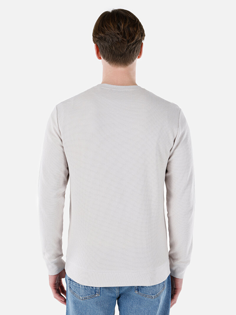 Regular Fit Yuvarlak Yaka Erkek Taş Uzun Kol Tişört