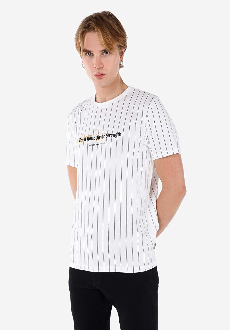 Regular Fit Yuvarlak Yaka Çizgili Erkek Beyaz Kısa Kol Tişört