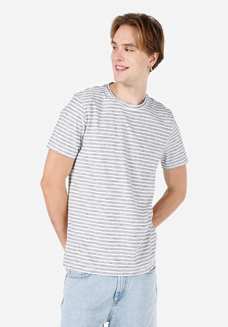 Regular Fit Yuvarlak Yaka Çizgili Erkek Gri Kısa Kol Tişört